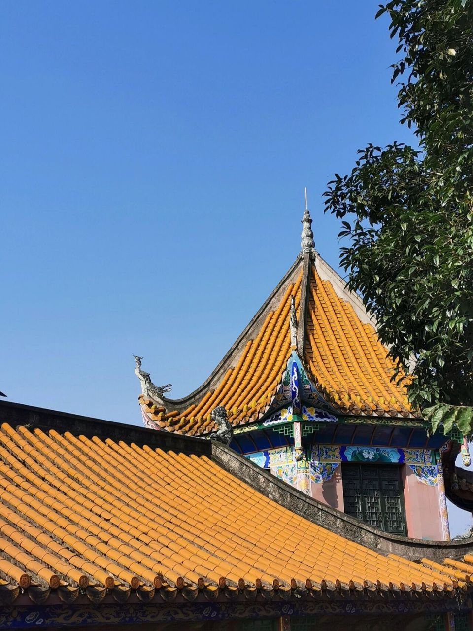 我们就不去凑热闹了,毕竟家住旁边 - 天气这么好,清镇的巢凤寺也很