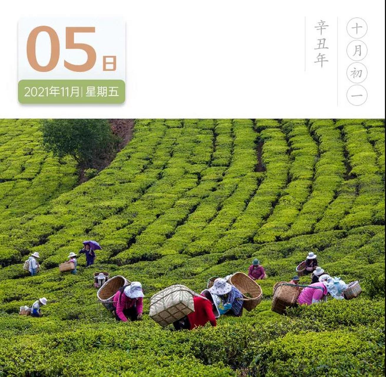 打卡云南 白竹山位于楚雄彝族自治州双柏县城东南部,巍峨苍翠,群峰