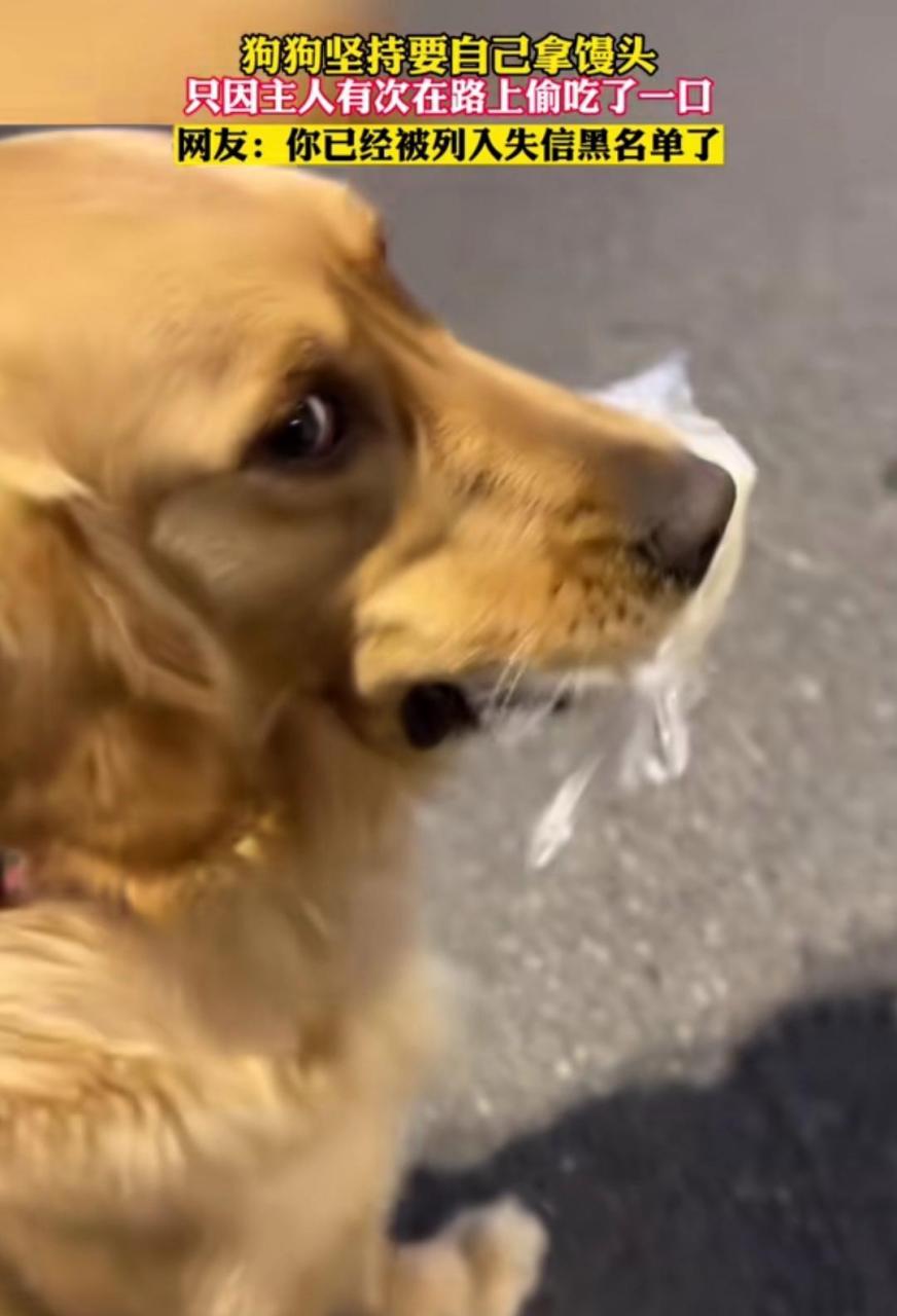 网友:你已经被列入失信黑名单了 #趣图搞笑