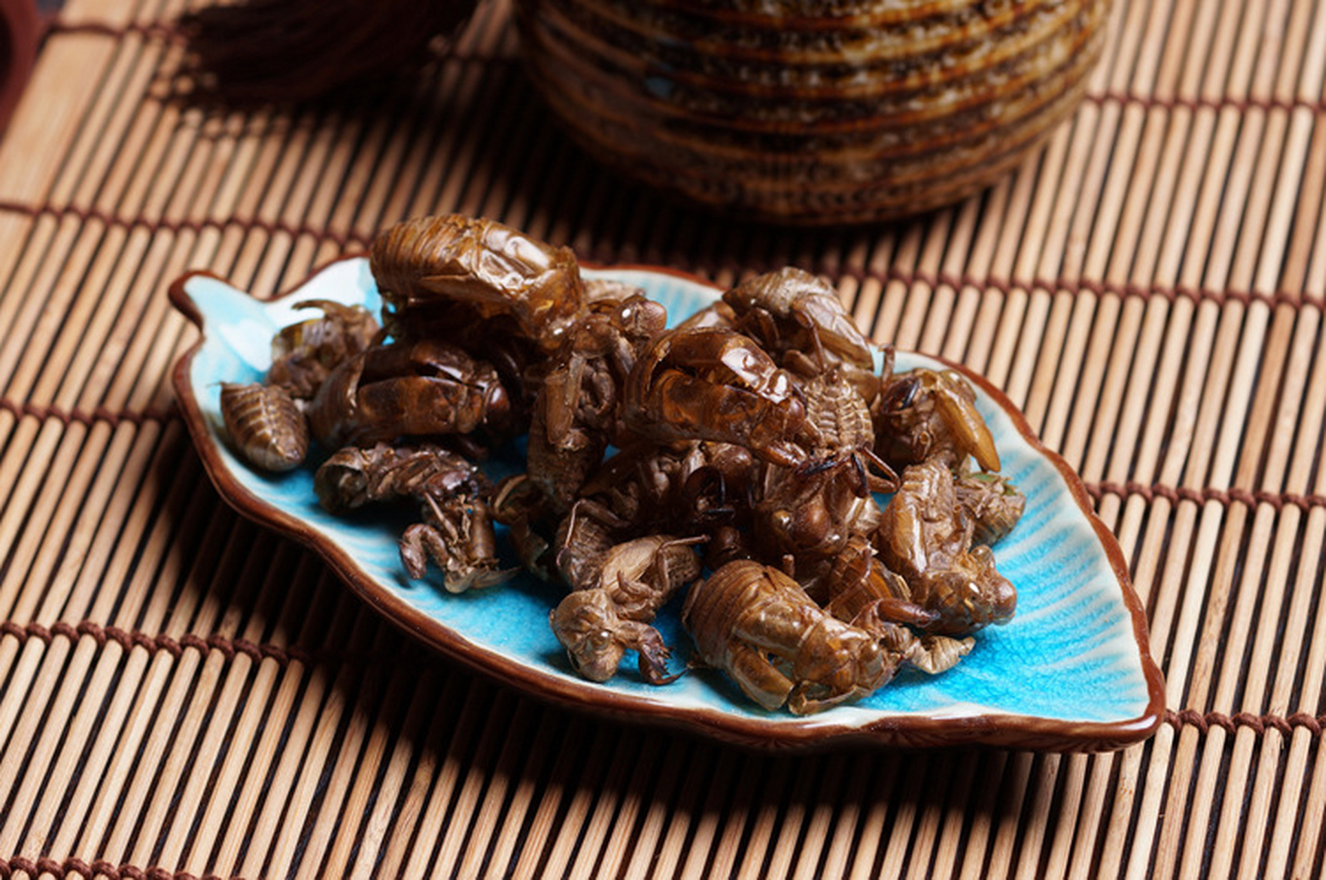 蝉蜕是一种古老的中药材,其主要成分是蝉蜕蛹