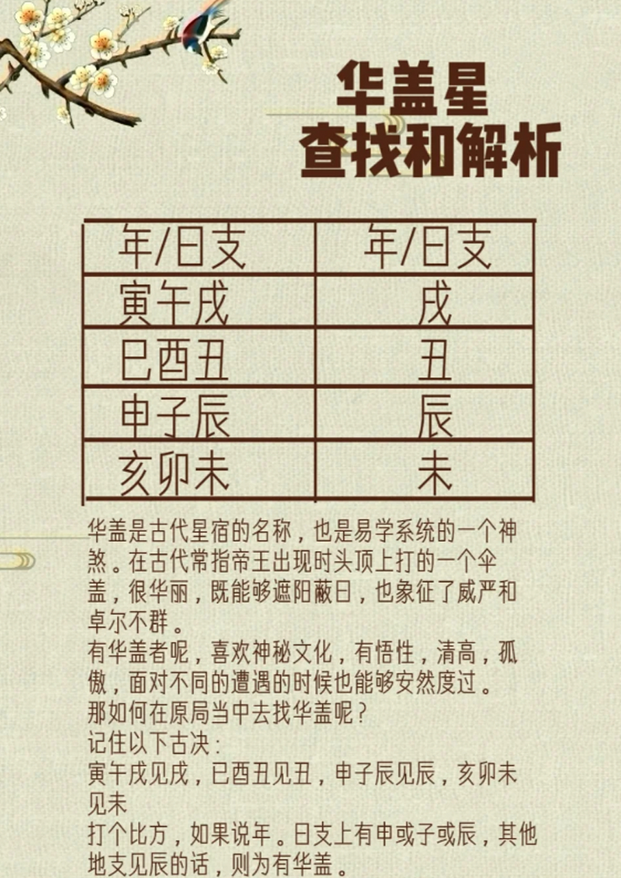 华盖指的是什么器官