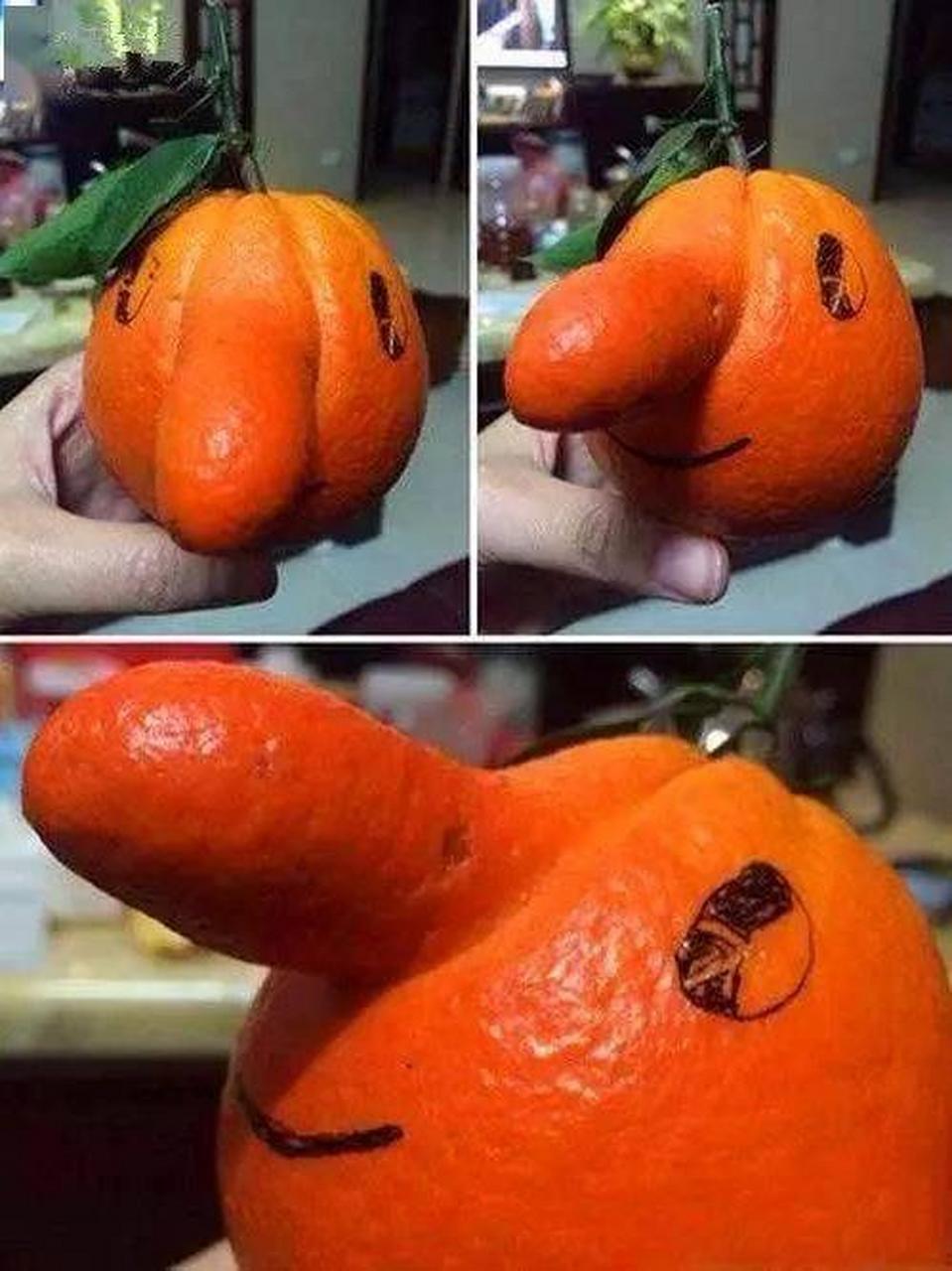 这橘子长的造型真奇怪