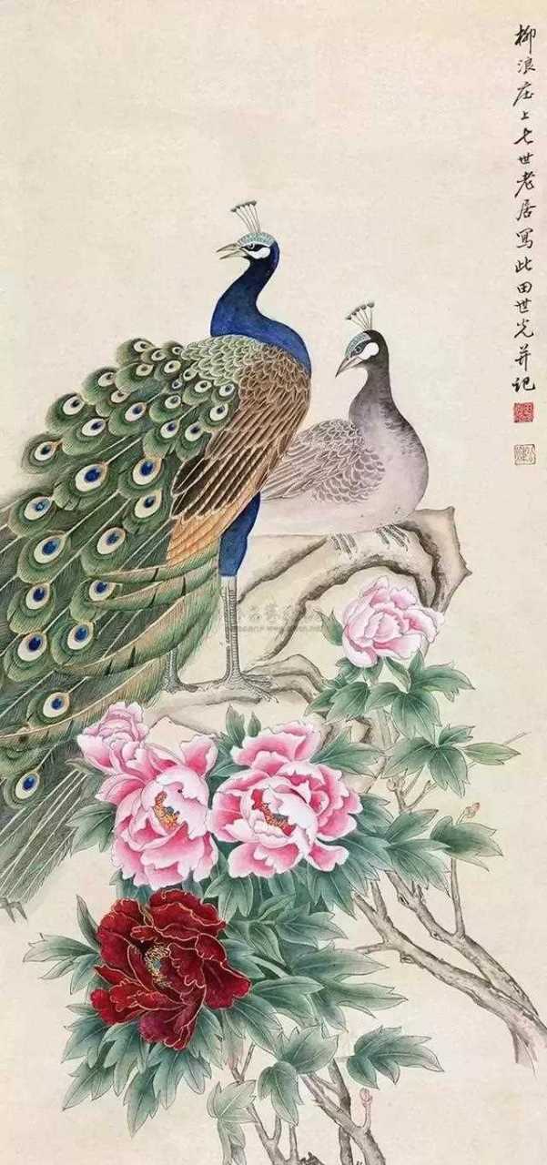 田世光笔下的孔雀,华美优雅.