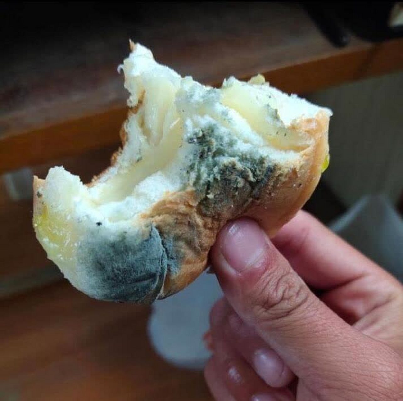 这个脏馒头很好吃[三哈]愿你归来仍是少年