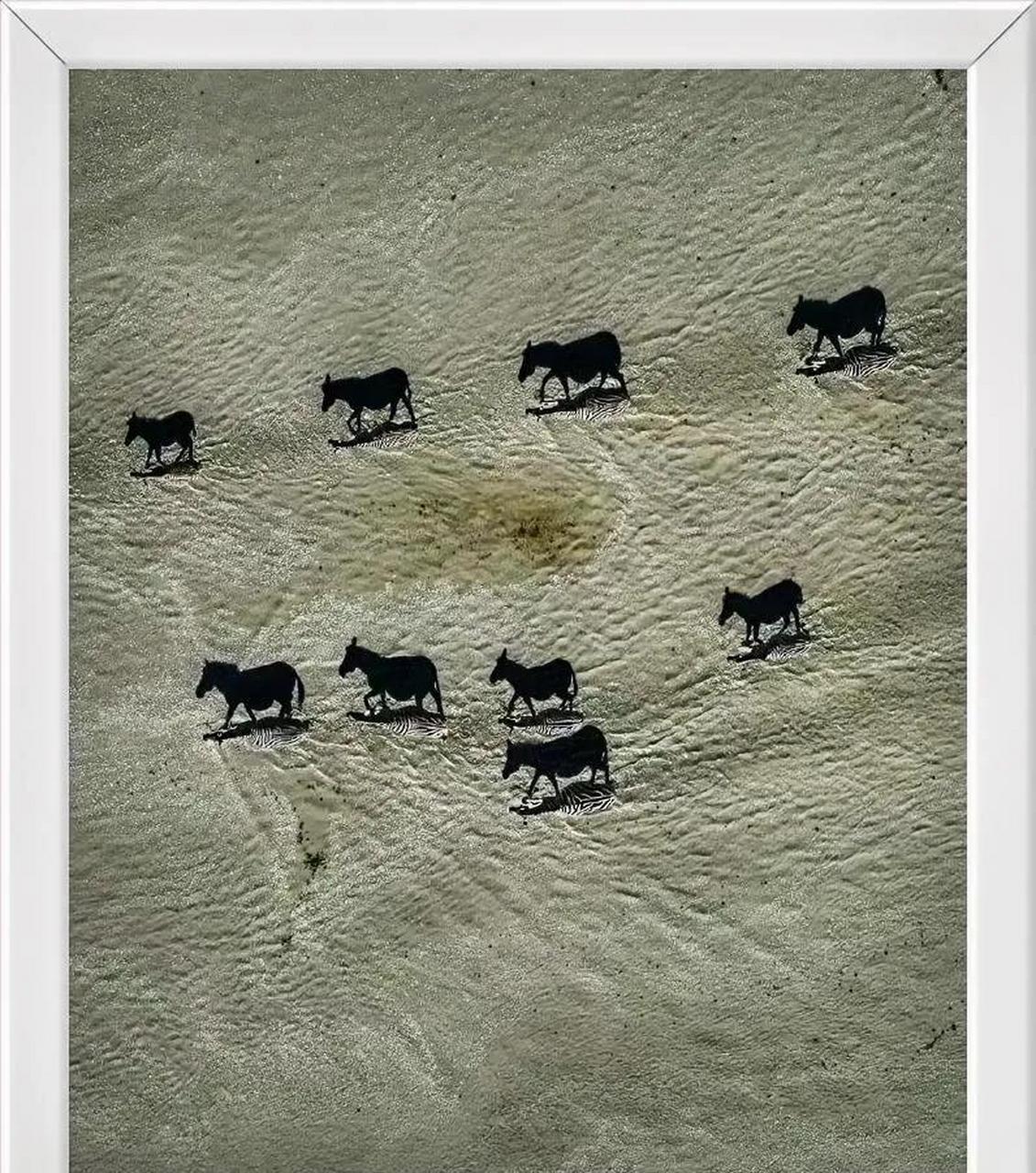 俗话说:眼见为实,耳听为虚,但有时候眼睛看到的不一定是真实的,这张