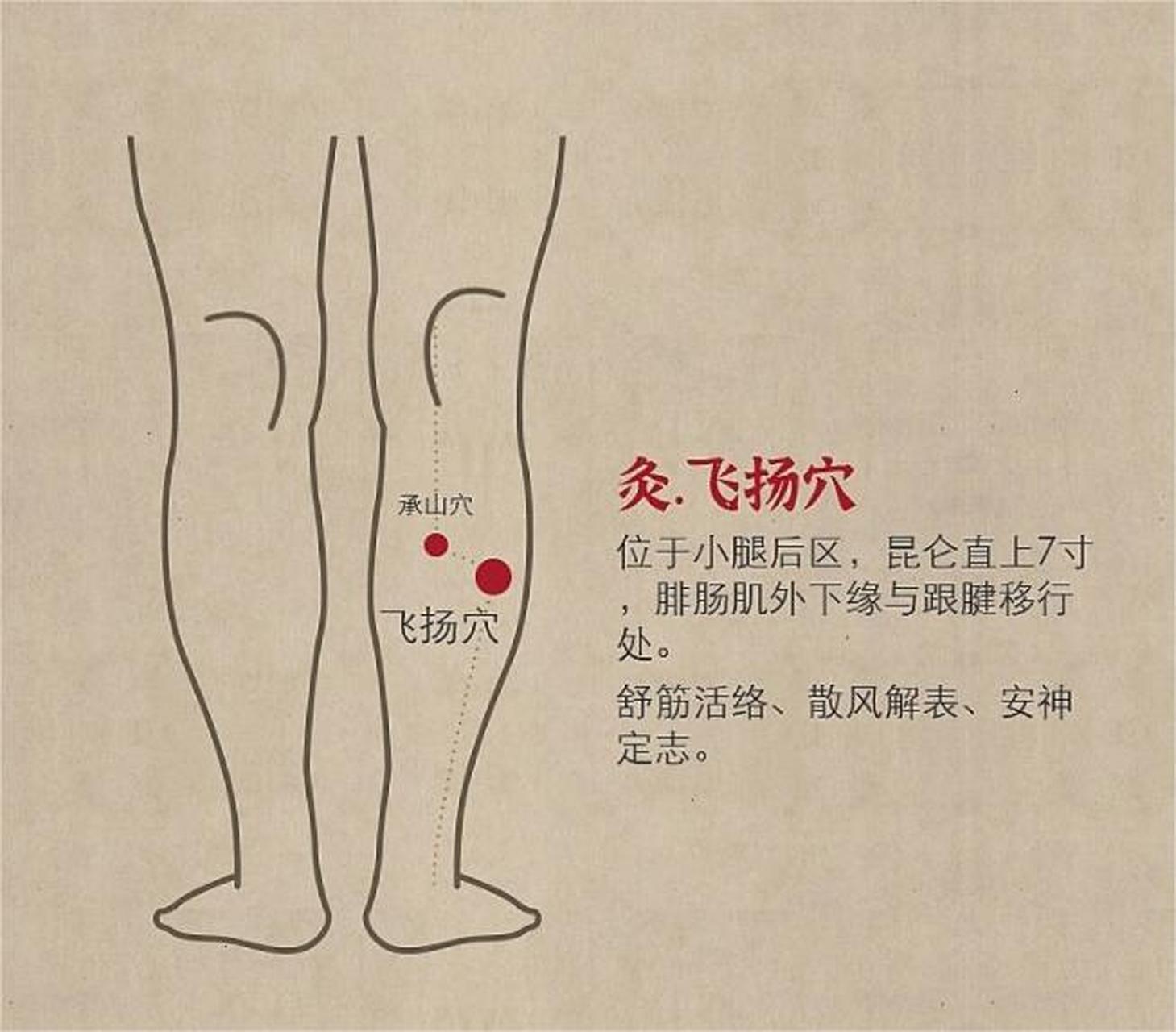 飞扬穴有散风解表,安神定志的功效.