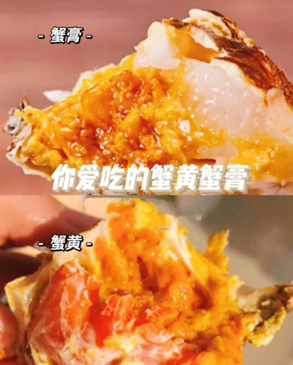 满满的蟹膏蟹黄,吃一口超满足.