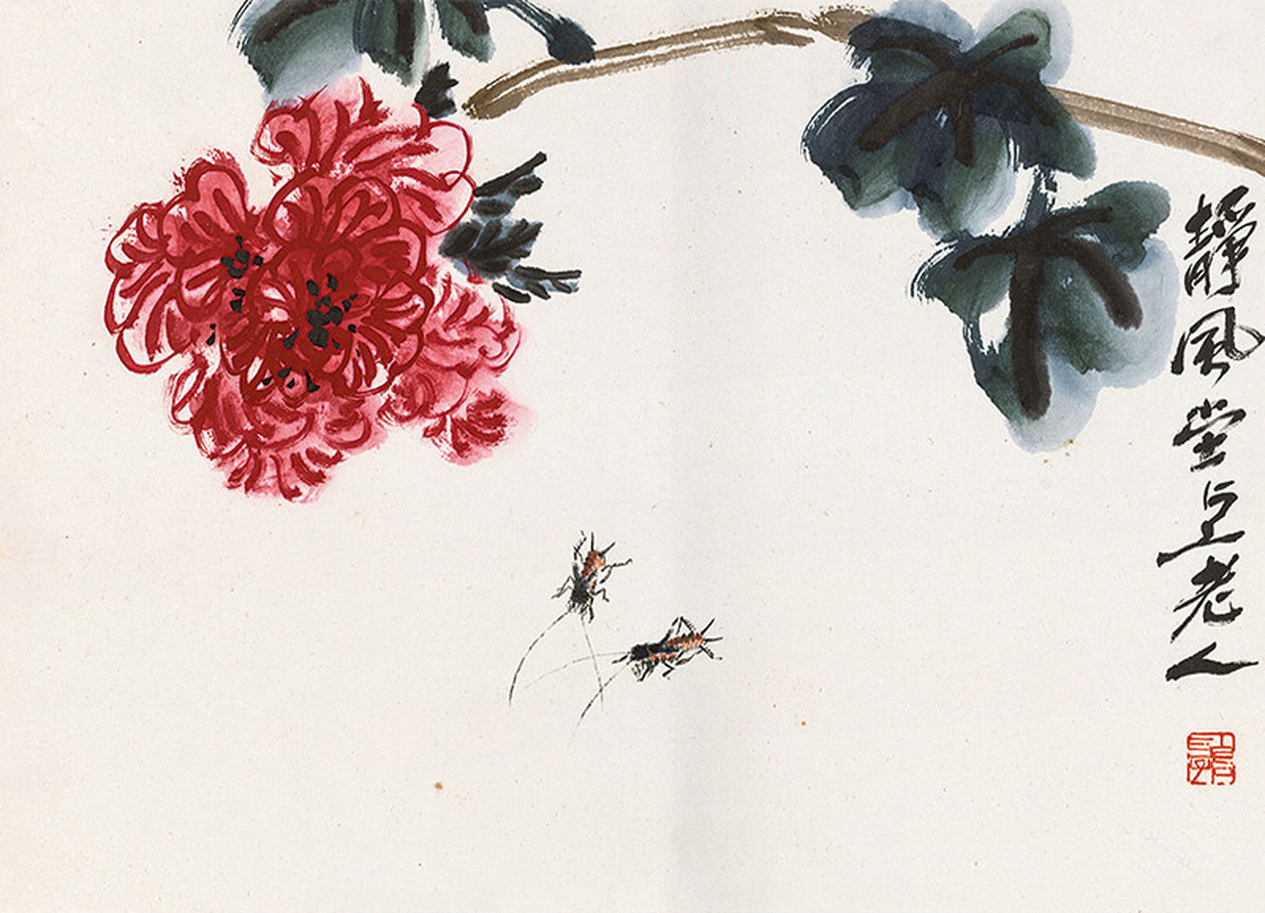 【 齐良迟 花虫册 】  #花鸟画#  #绘画