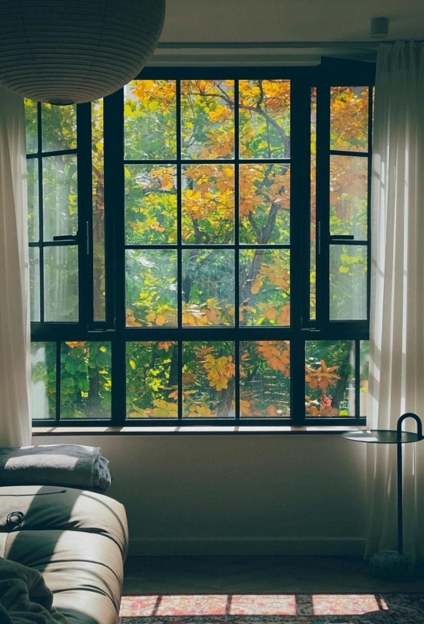 当初因为看到窗户外面的景色,才买了2楼 特意换了美丽仿钢窗,想着,能