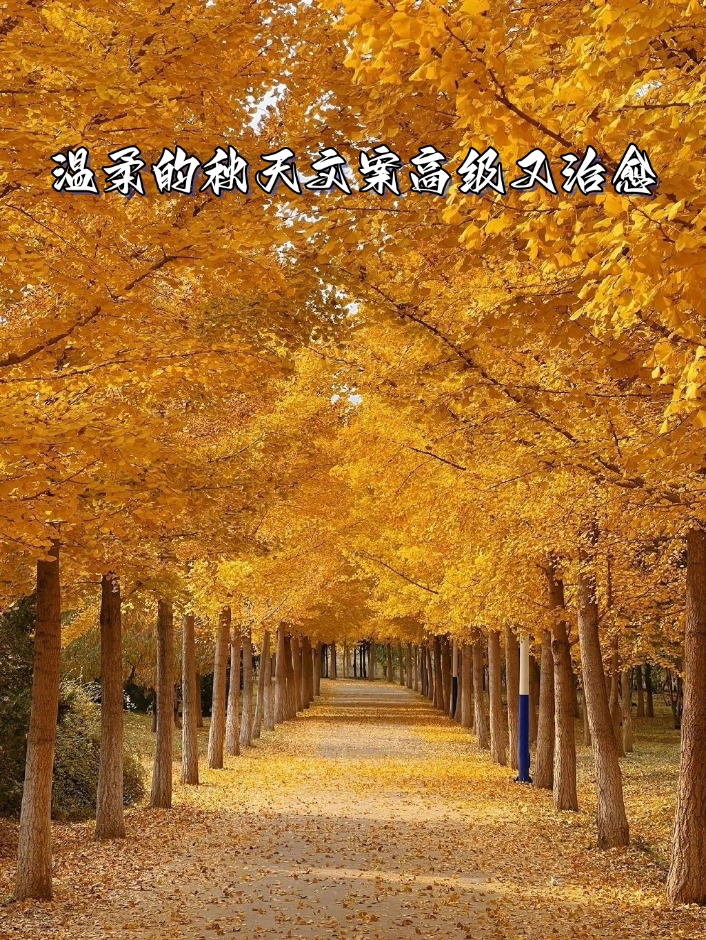 高中秋天文案（高中秋天文案短句） 高中秋日
文案（高中秋日
文案短句）《高中秋天的句子唯美长句》 天文观测