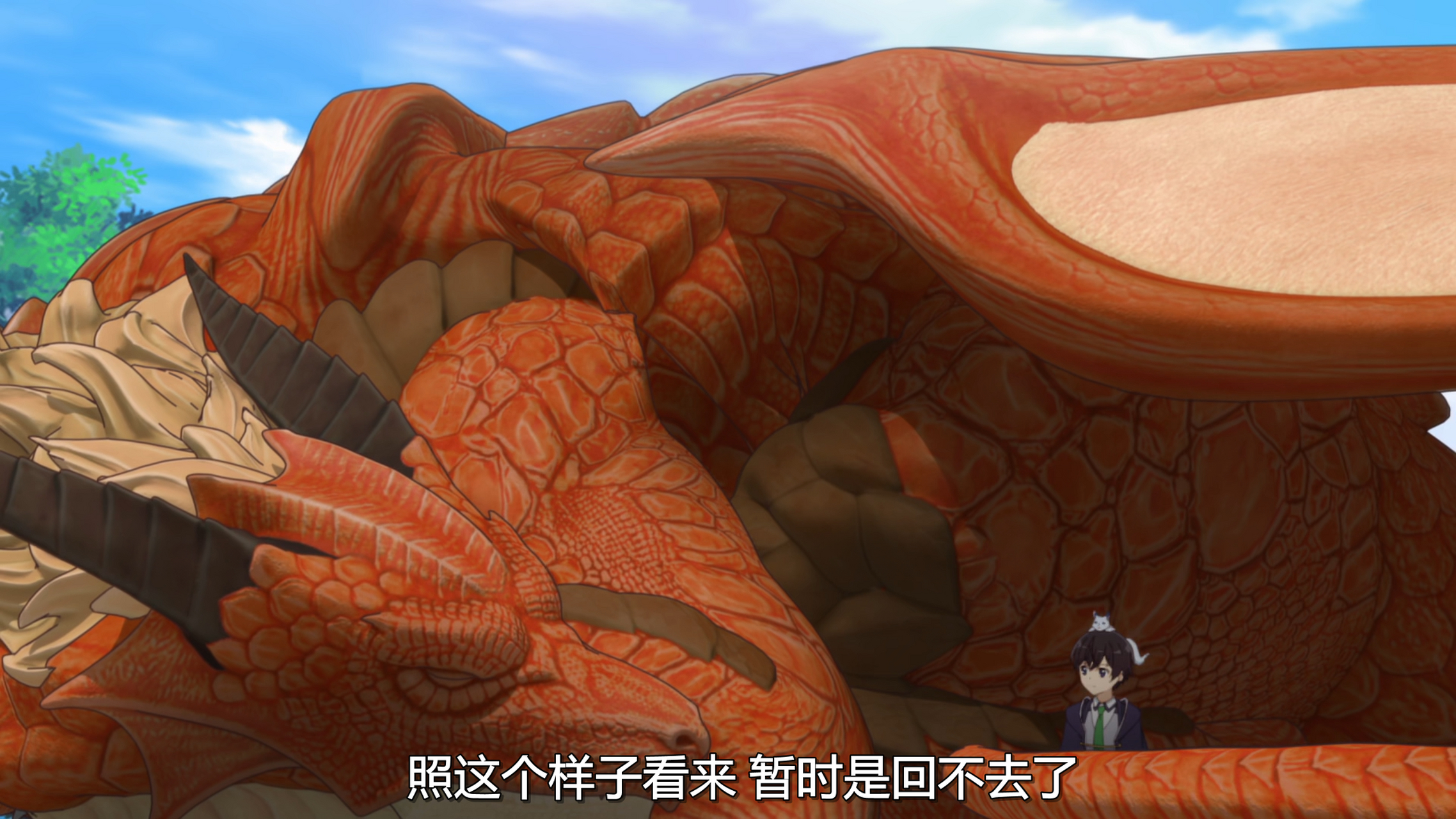 男主,这只母龙不会是看上你了吧!