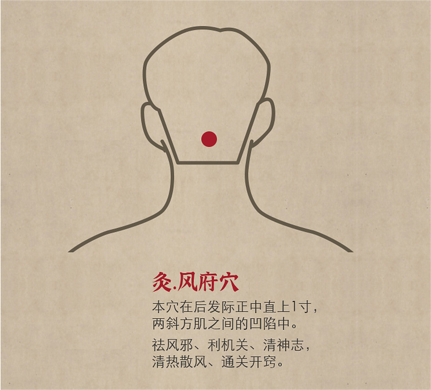 风府穴有祛风邪,利机关,清神志的作用,清热散风,通关开窍的功效.