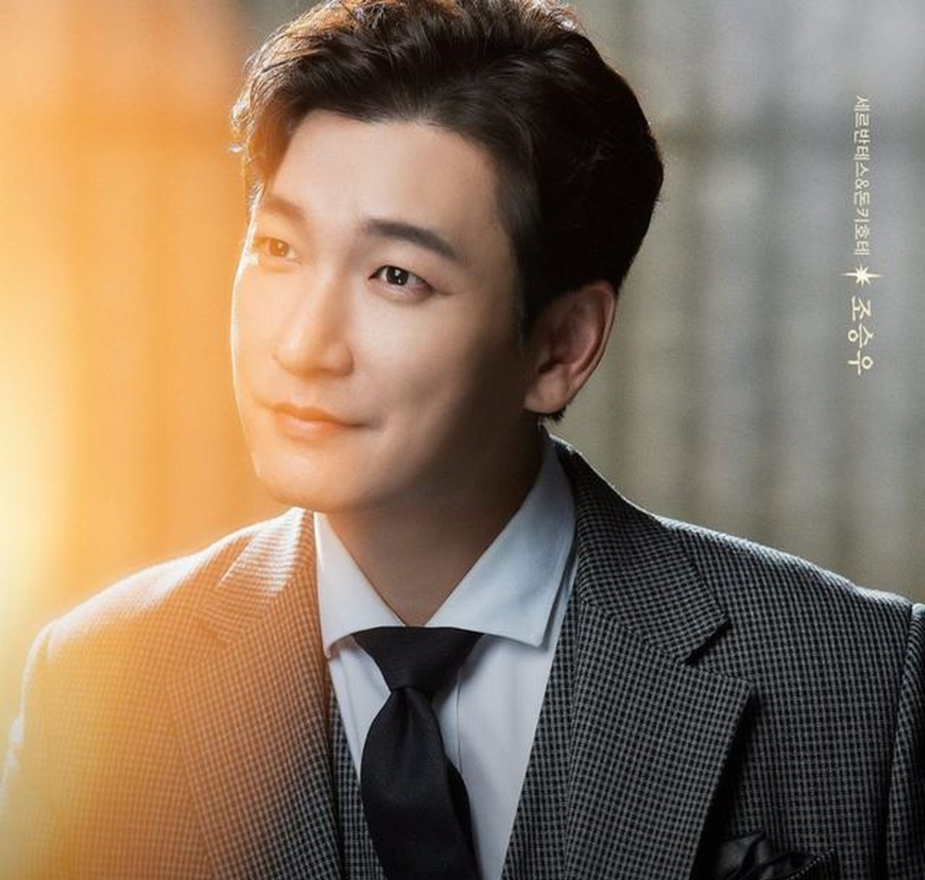 《神圣的离婚》制作组方面也表示:"能够和非常适合申成角色的曹承佑