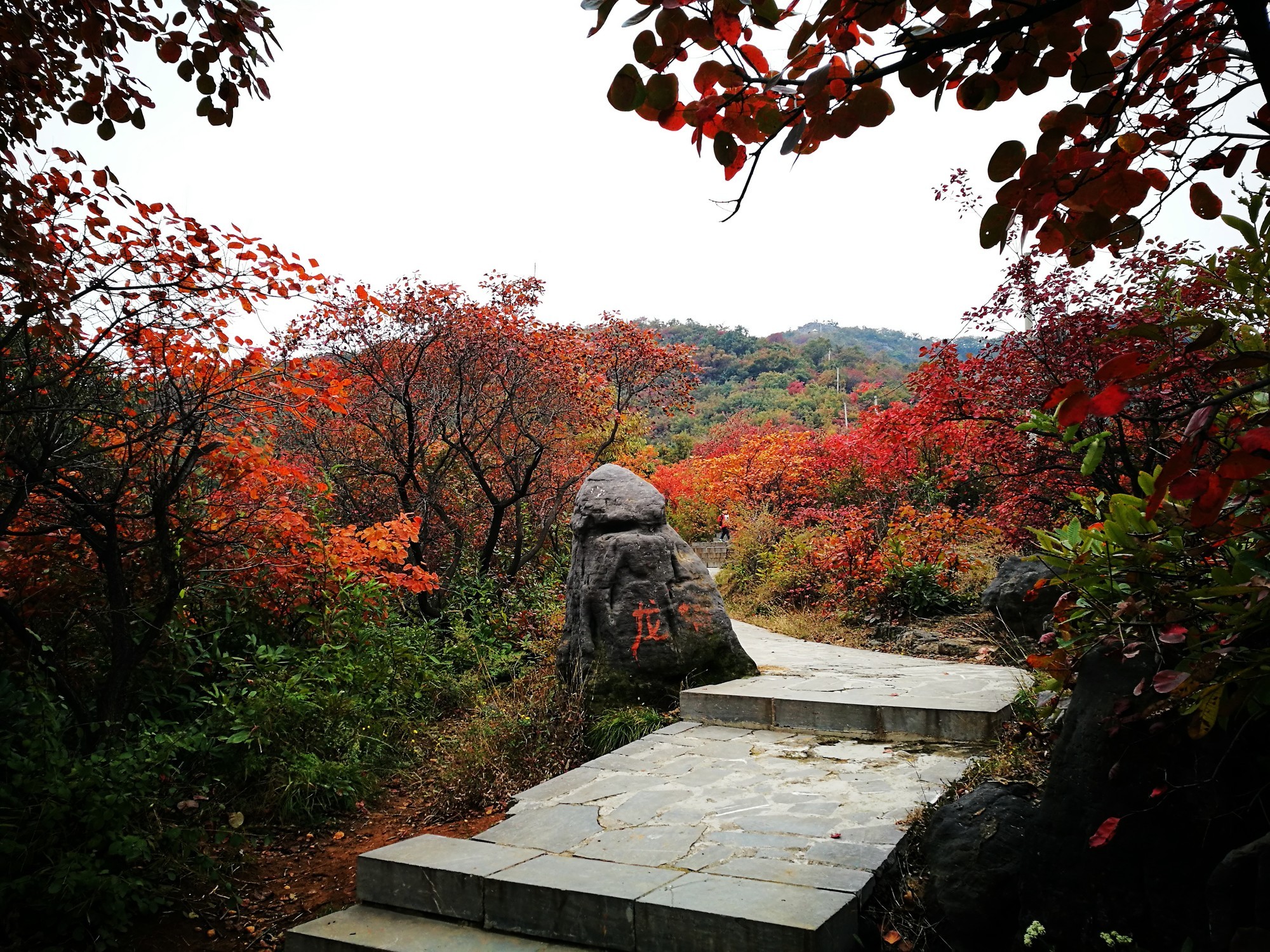 荥阳环翠峪 秋天来临,荥阳环翠峪的红叶也别具特色