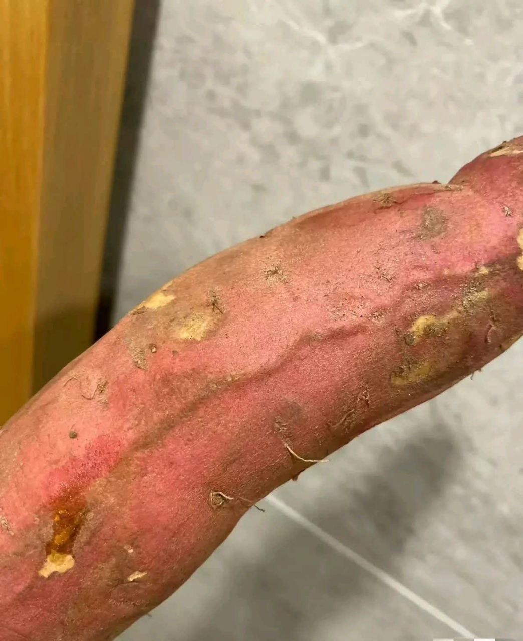 这一定是雄性红薯[大笑][大笑]#搞笑