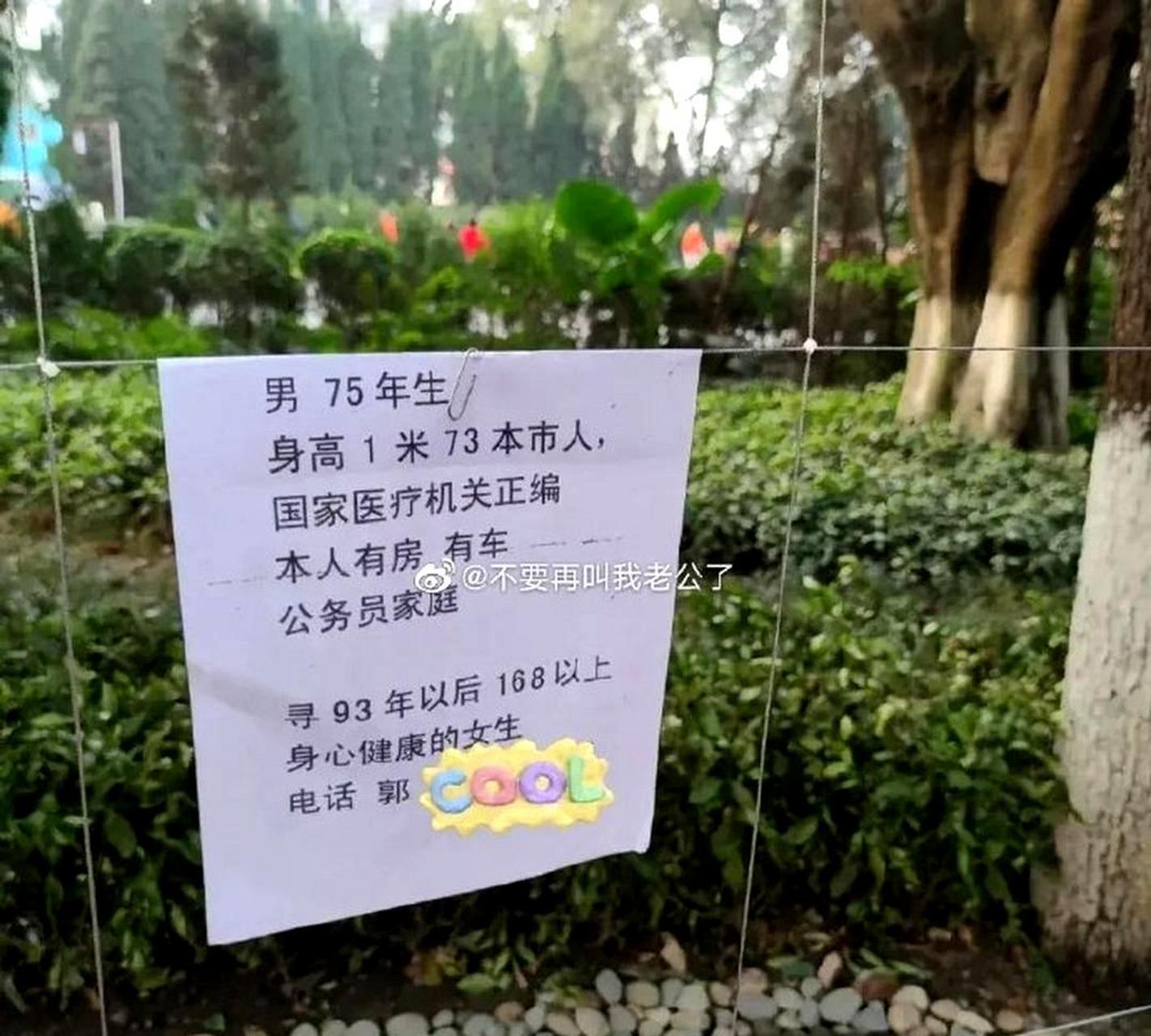 人民公园的相亲角让人眼界大开!