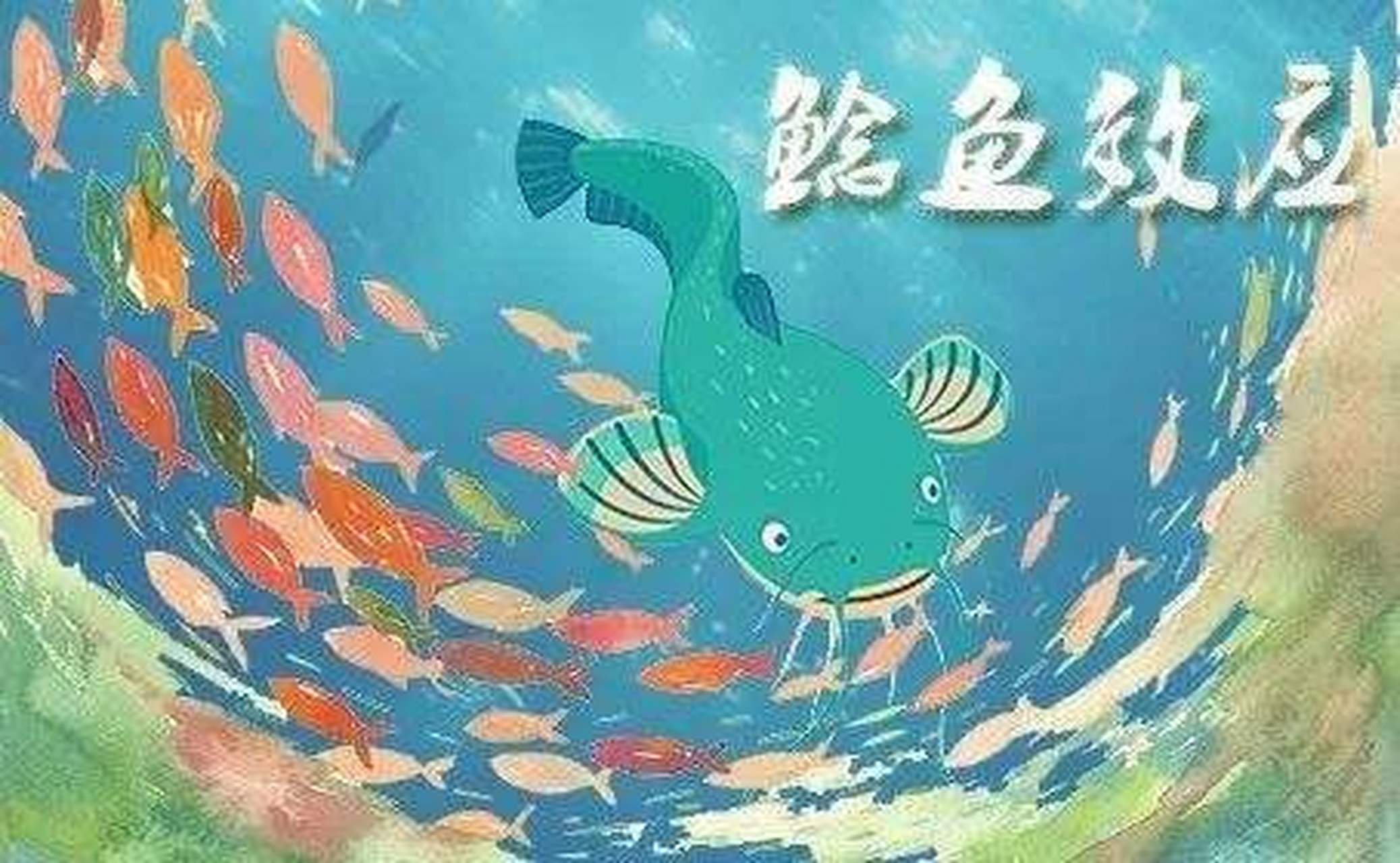 沙丁鱼效应图片