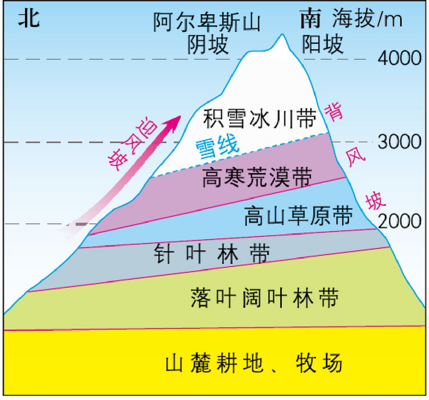 垂直植被类型分布图图片