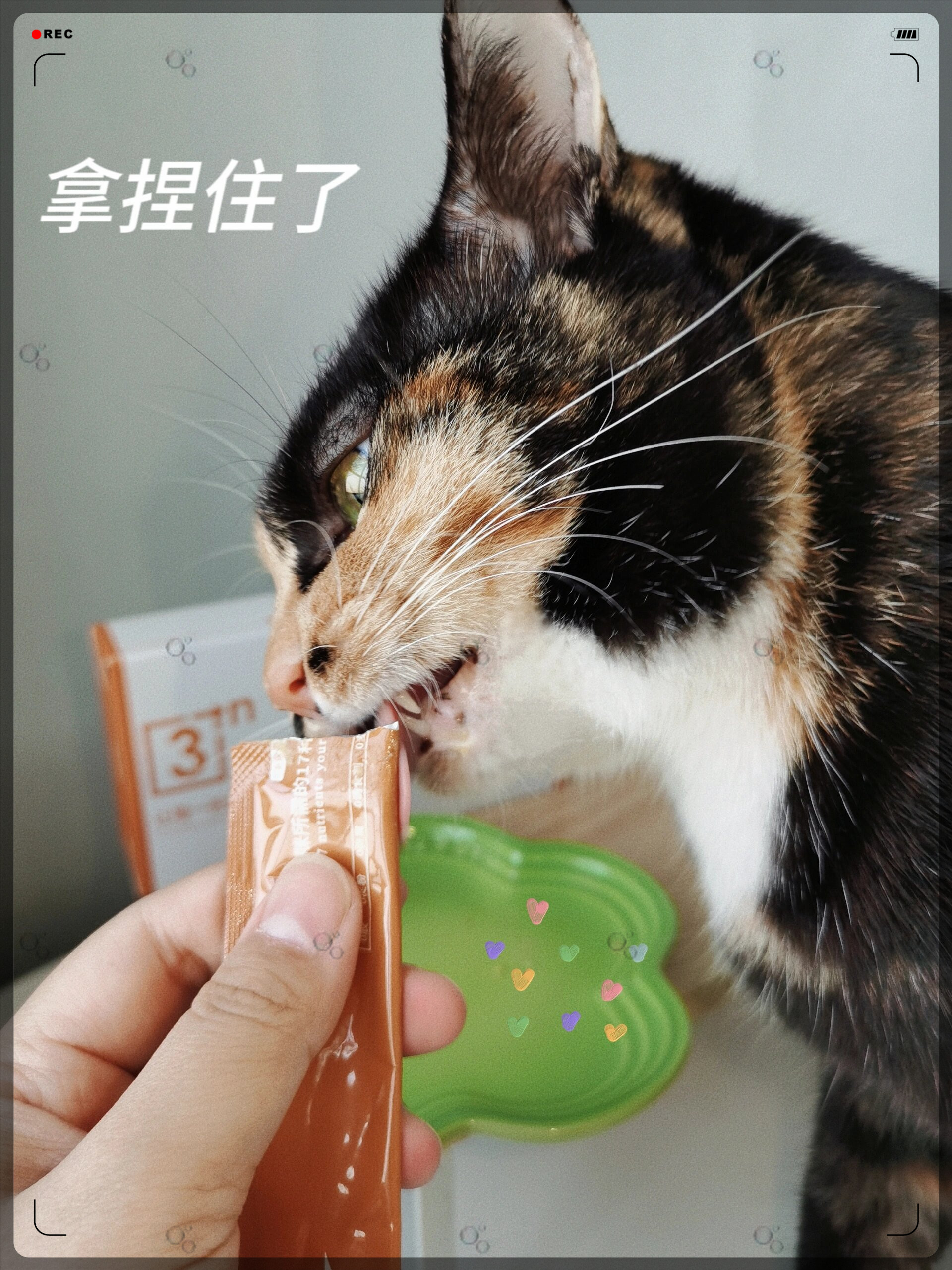 3n液体营养条整块鸡肉肉含量丰富胡桃狂炫一整个