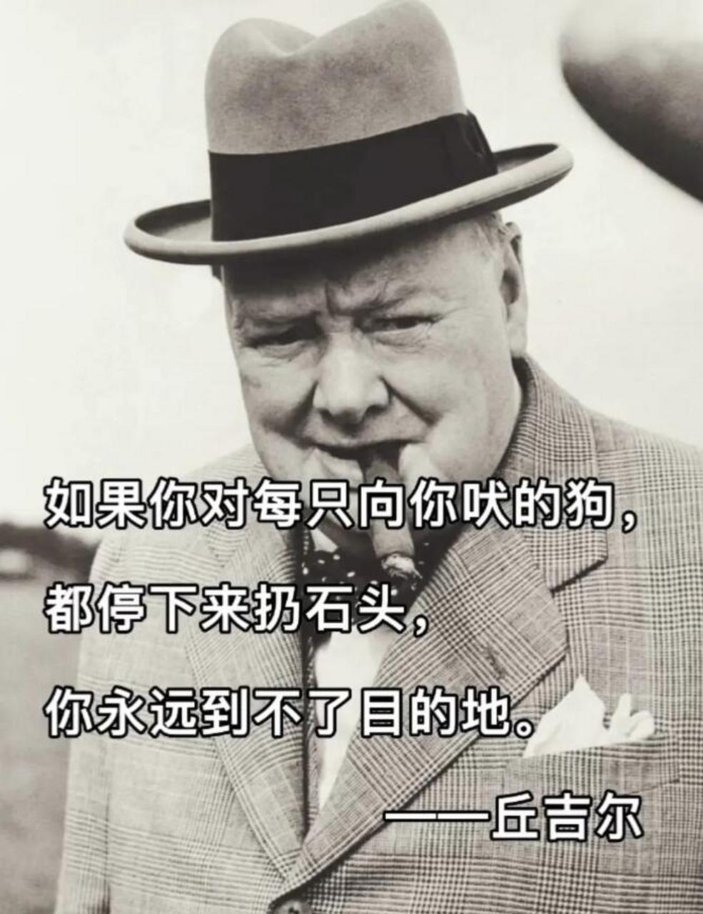 丘吉尔说:如果你对每只向你吠的狗,都停下来扔石头