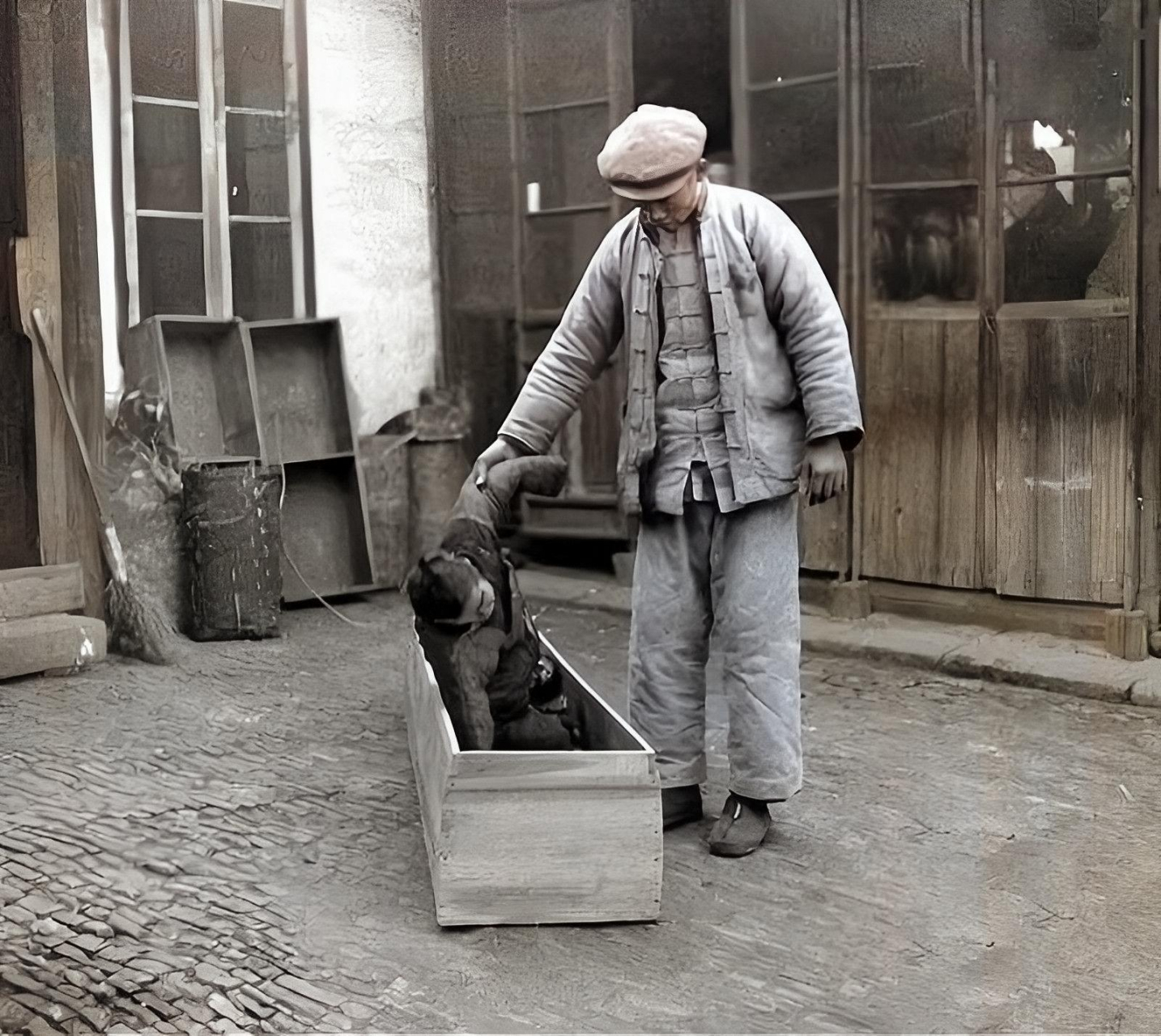 早夭率的婴儿死亡率很高.