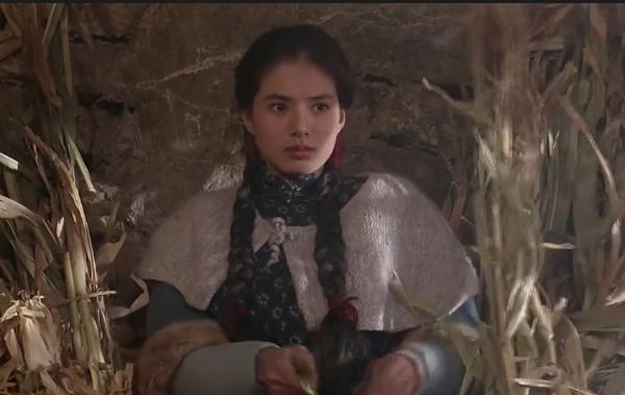 电影【火烧红莲寺】 1994年,李若彤出演电影【火烧红莲寺】女主角