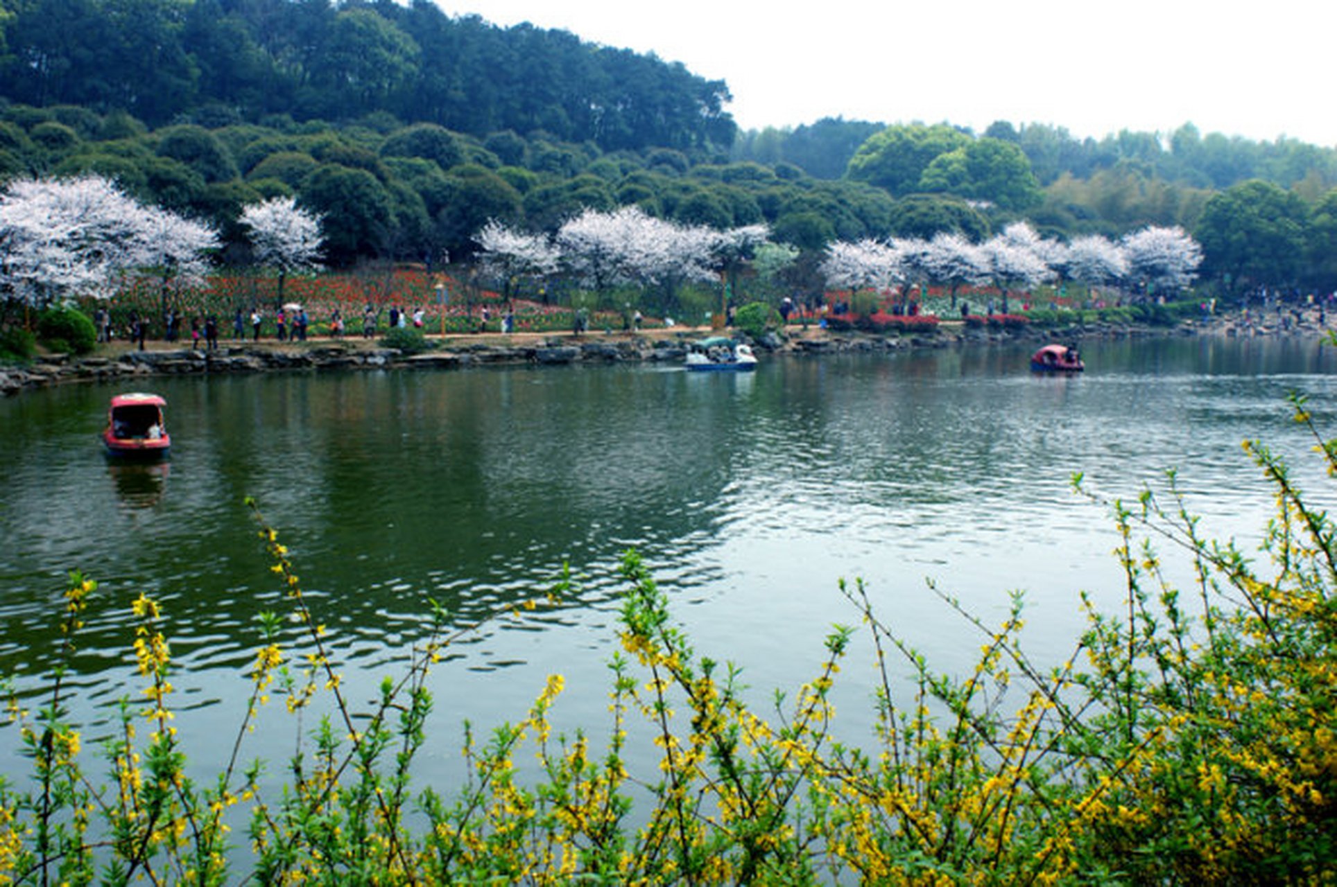 湖南省森林植物园占地面积140公顷,森林覆盖率达到90%以上.