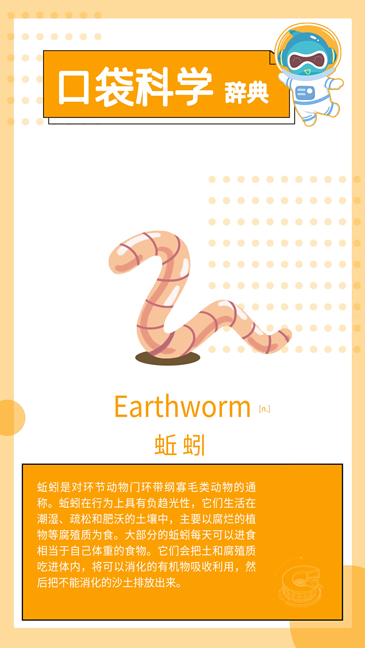 蚯蚓 用英语怎么说?#北京科学中心# #口袋科学辞典