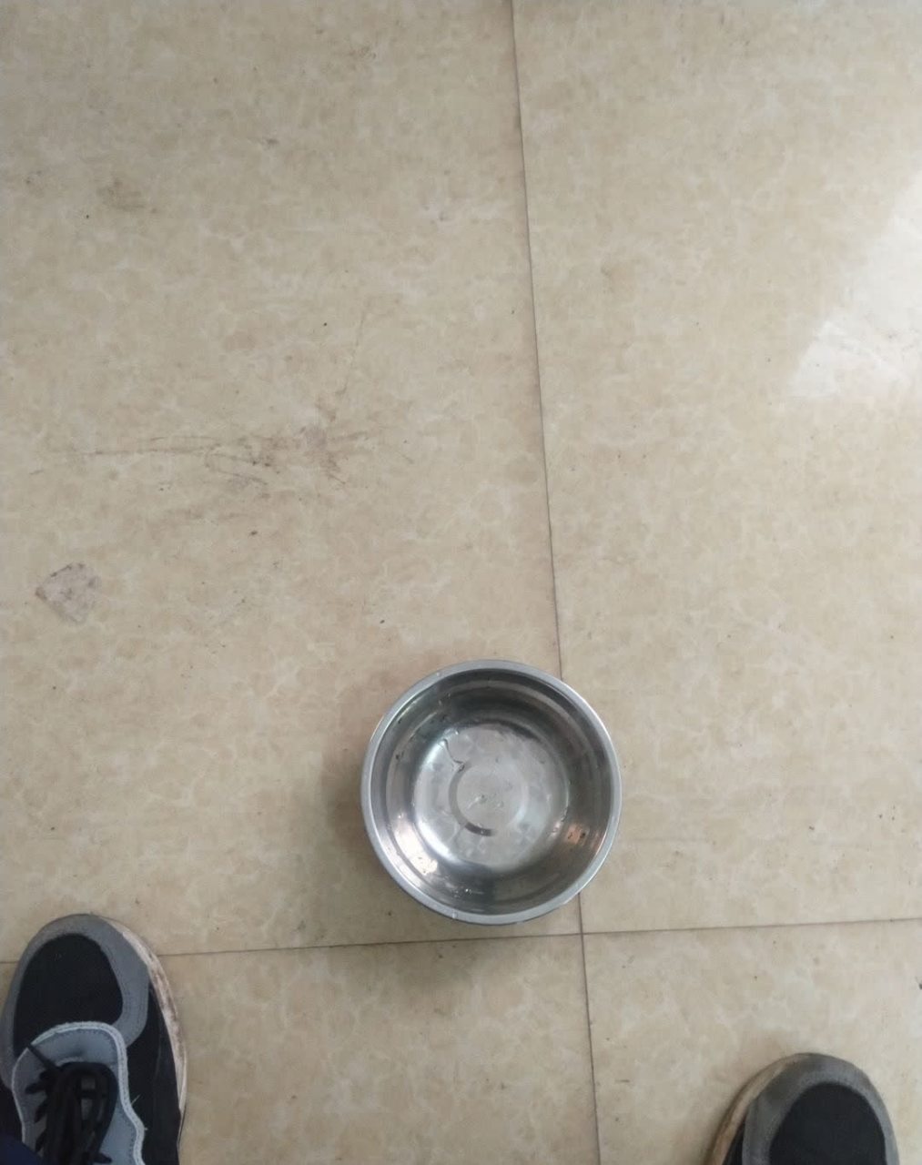 把盆放在地上,路过的人还以为是乞丐,我也服气了![尬笑]