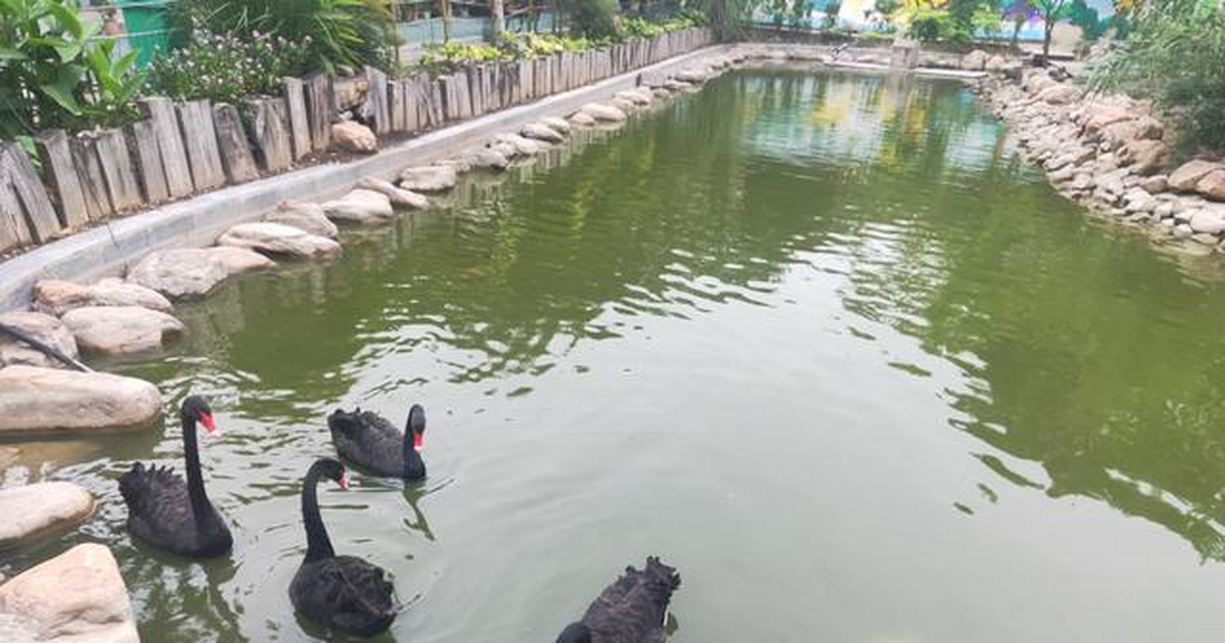 美丽的平顶山动物园