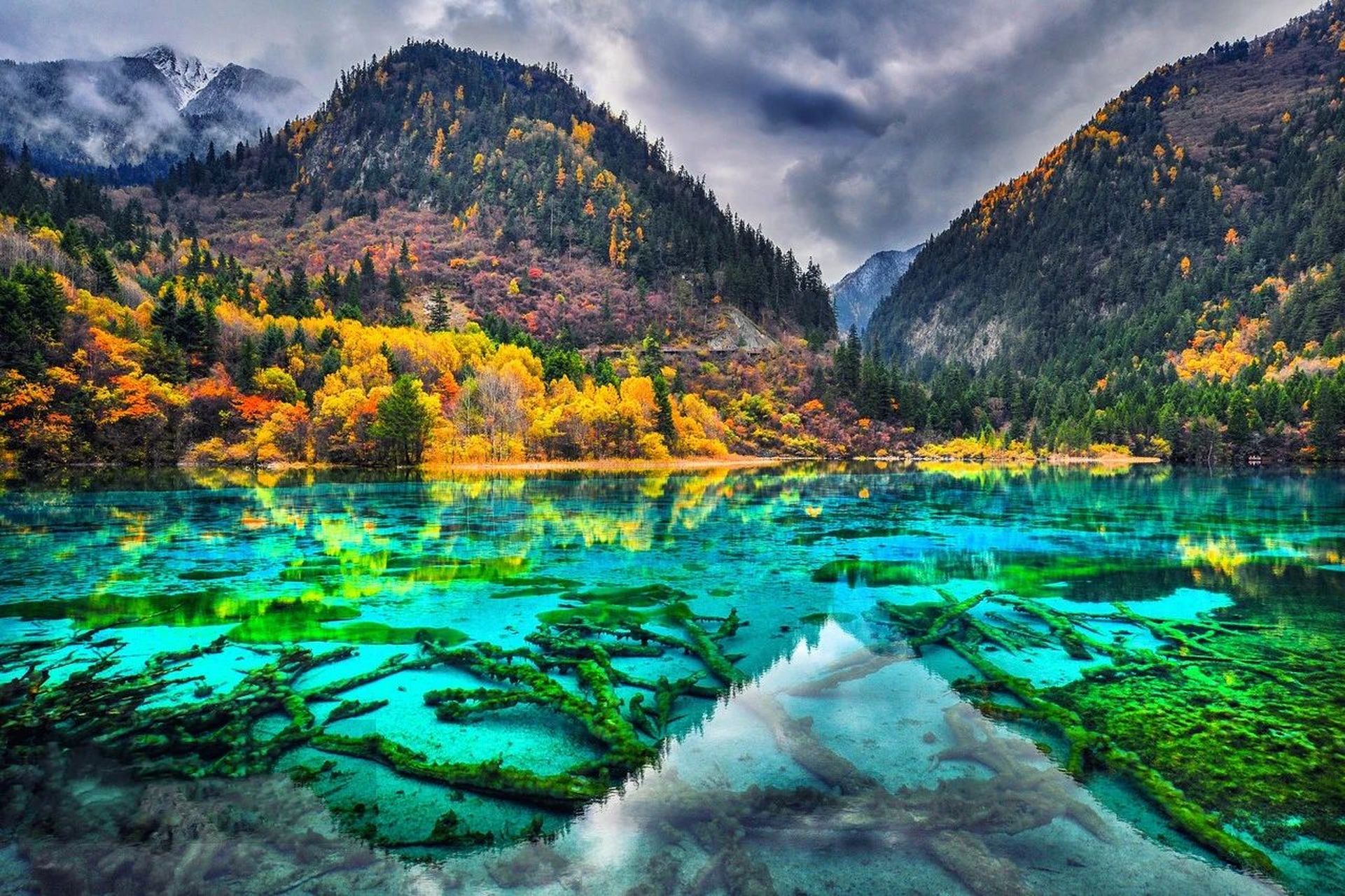 夏天的九寨沟,到处都是清凉的气息,让人感受到这个季节独有的清新.