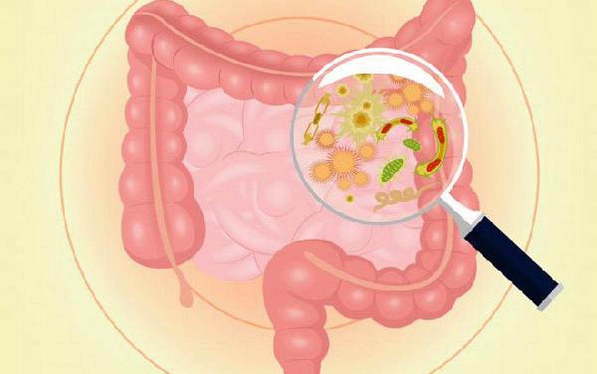 袋状往返运动 这是在空腹时最多见的一种运动形式,由环行肌无规律地