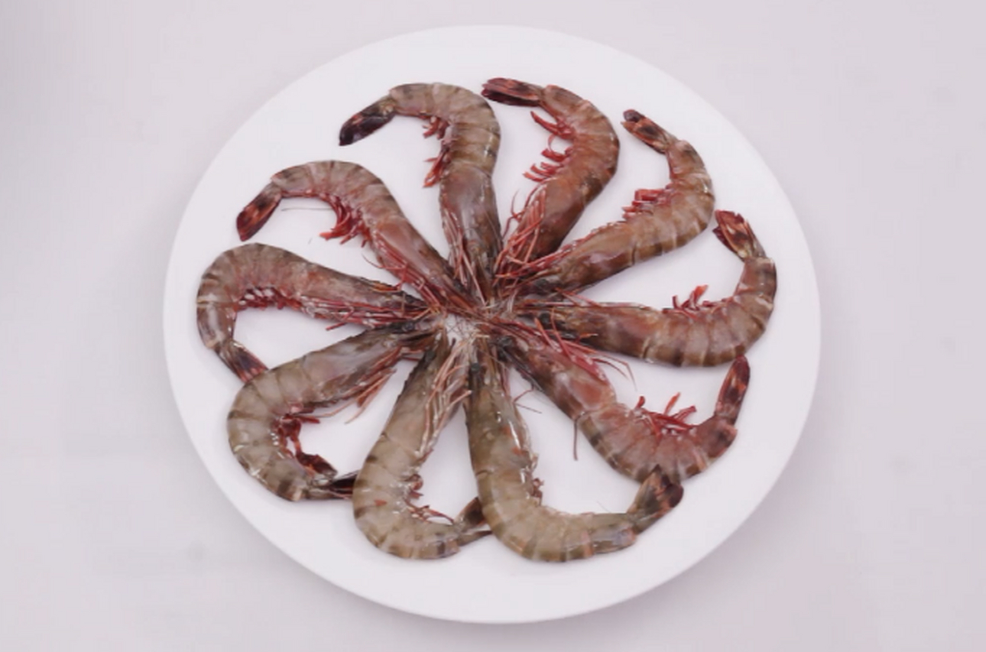 白灼马达加斯加黑虎虾 斑节对虾本产于印度洋以及西南太平洋海域,是