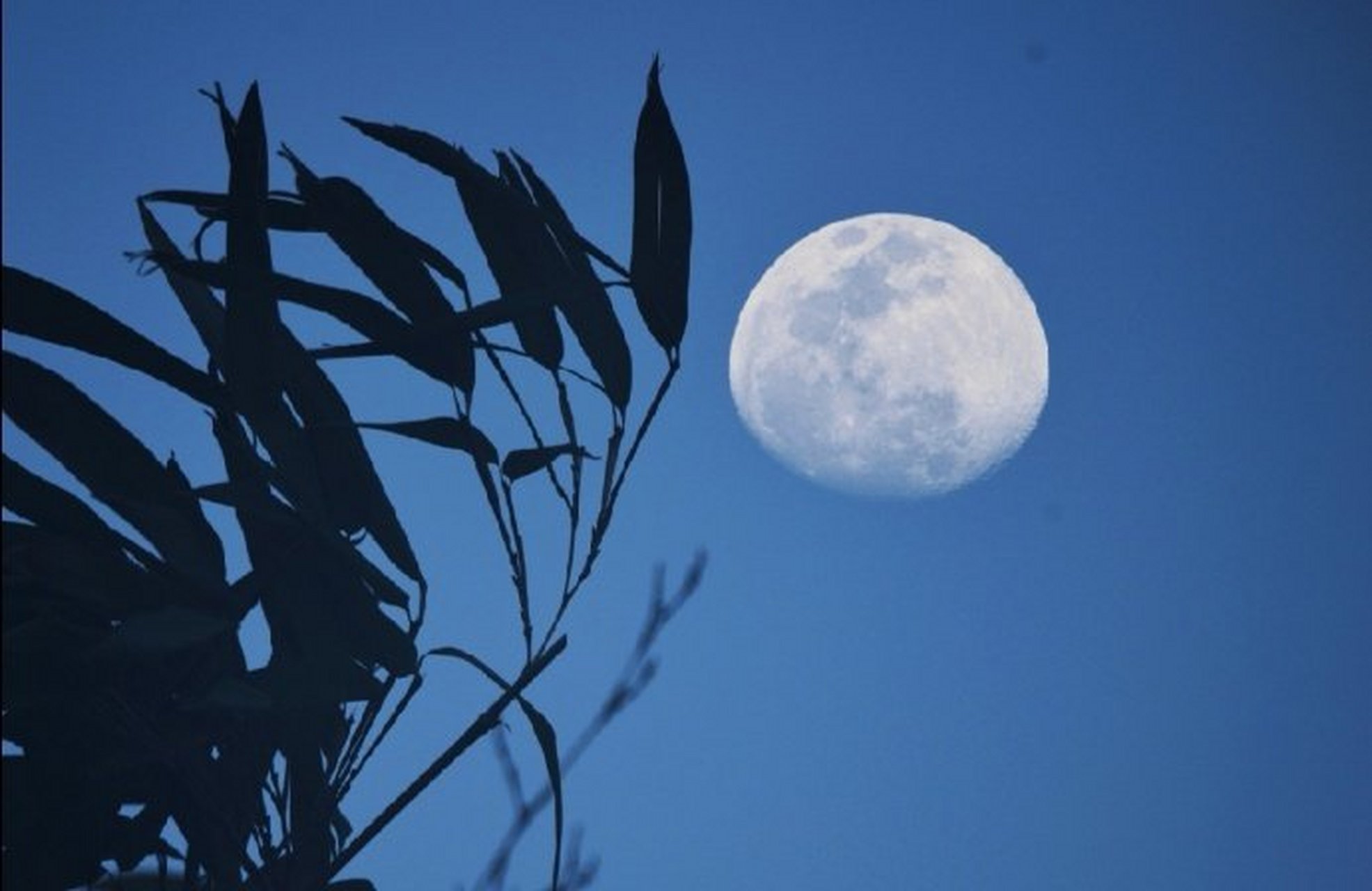 帘幕外,月华如水