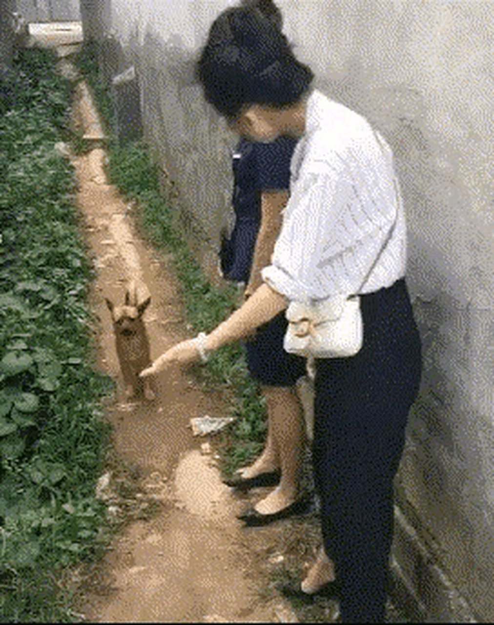 不,还是你先走吧.这情景会不会是"麻杆打狼—两头害怕?