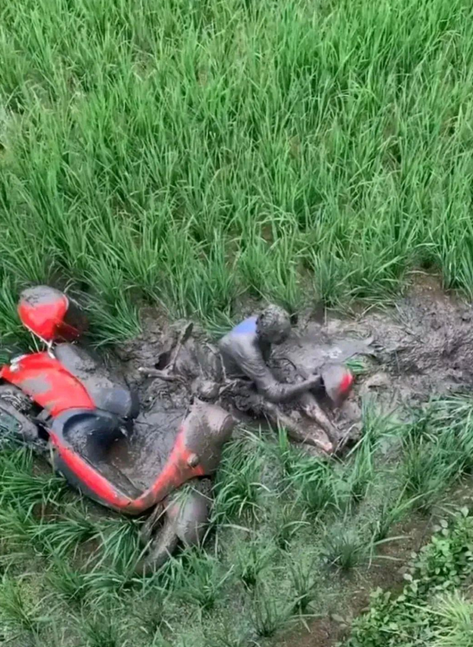 惊现奥特曼坠机田间