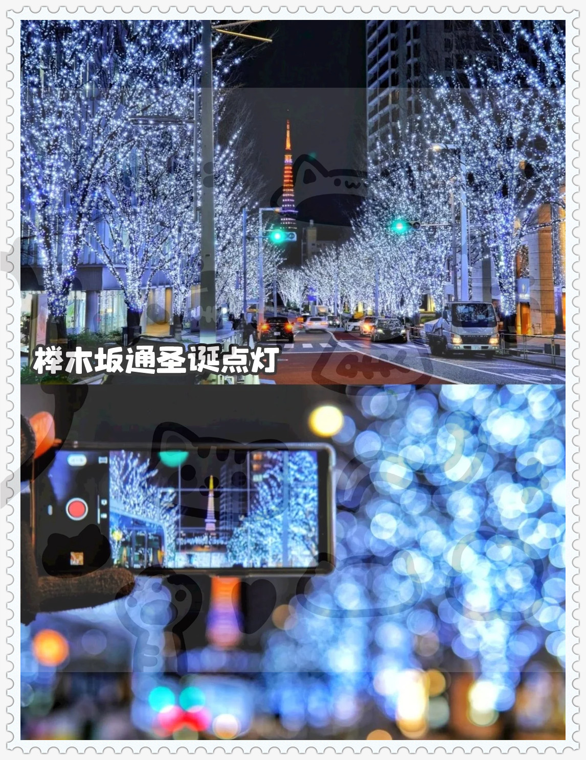 榉木坂通卡地亚圣诞树66plaza广场灯光秀大屋顶广场圣诞集市等精彩