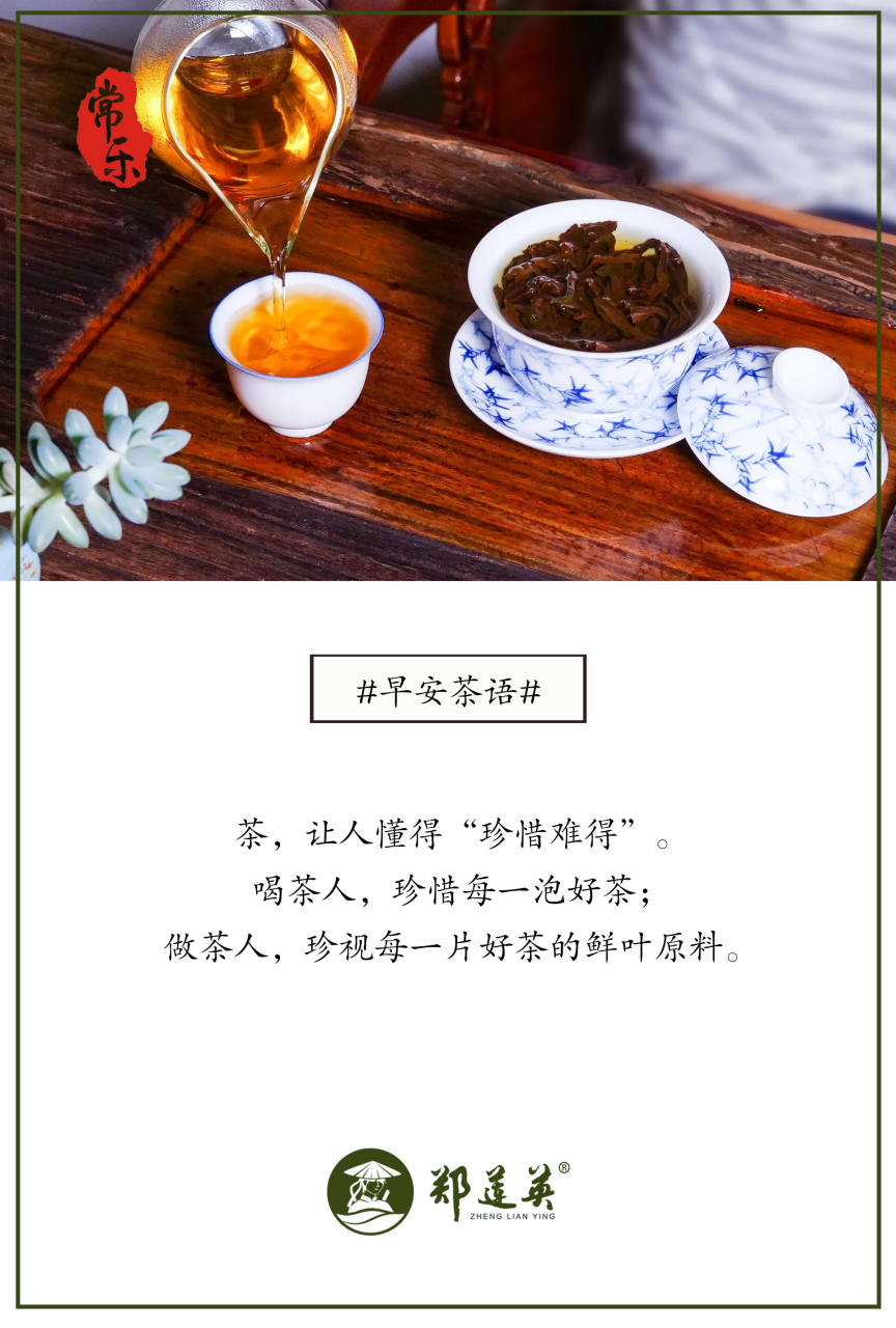 喝茶人,珍惜每一泡好茶; 做茶人,珍视每一片好茶的鲜叶原料.