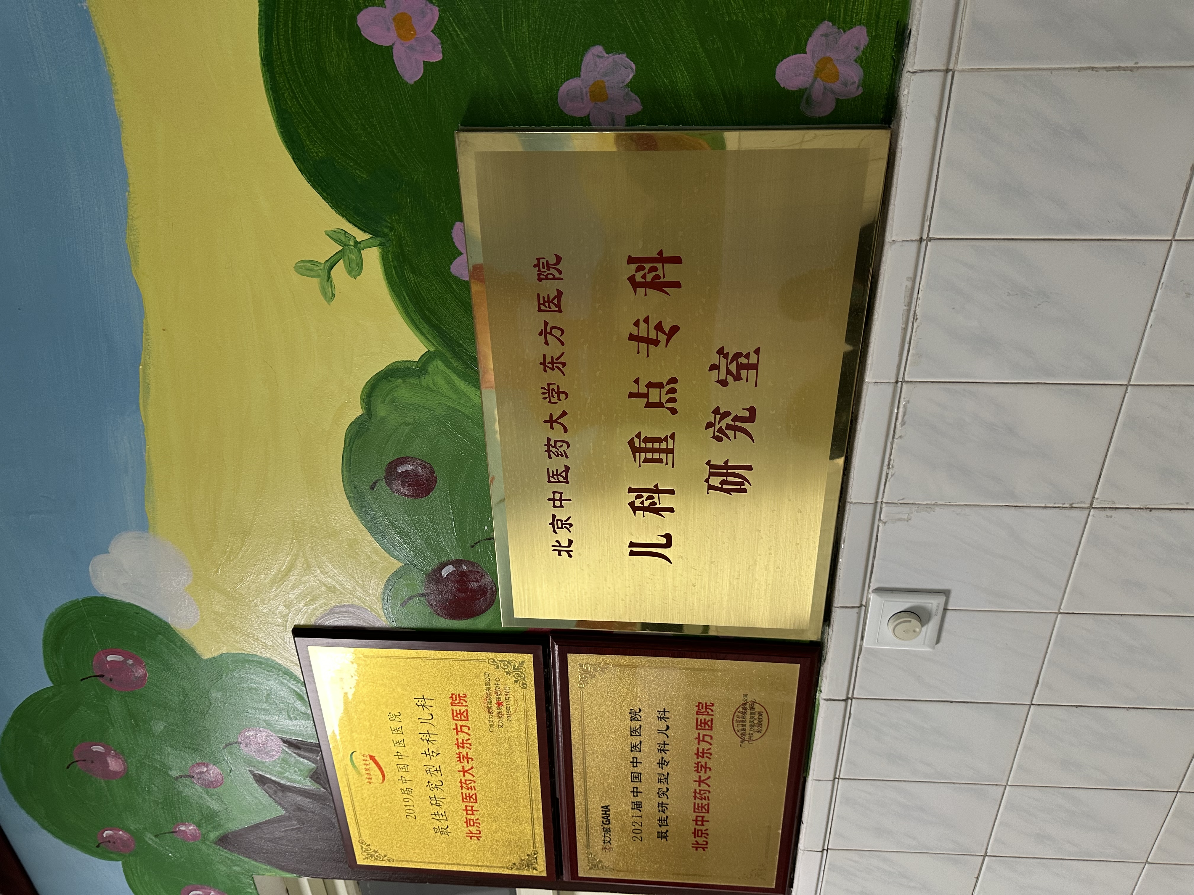 北京中医药大学东方医院加微信咨询挂号-北京中医药大学东直门医院线上问诊周静威 