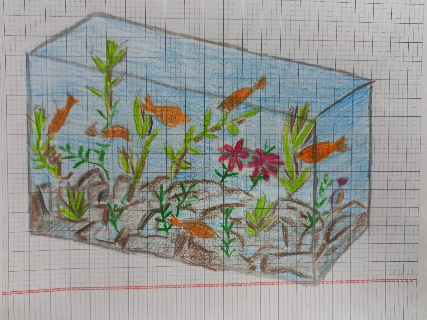 我画的鱼缸哈哈哈, 我的妹妹问:诶为什么 我画的鱼缸哈哈哈, 我的妹妹