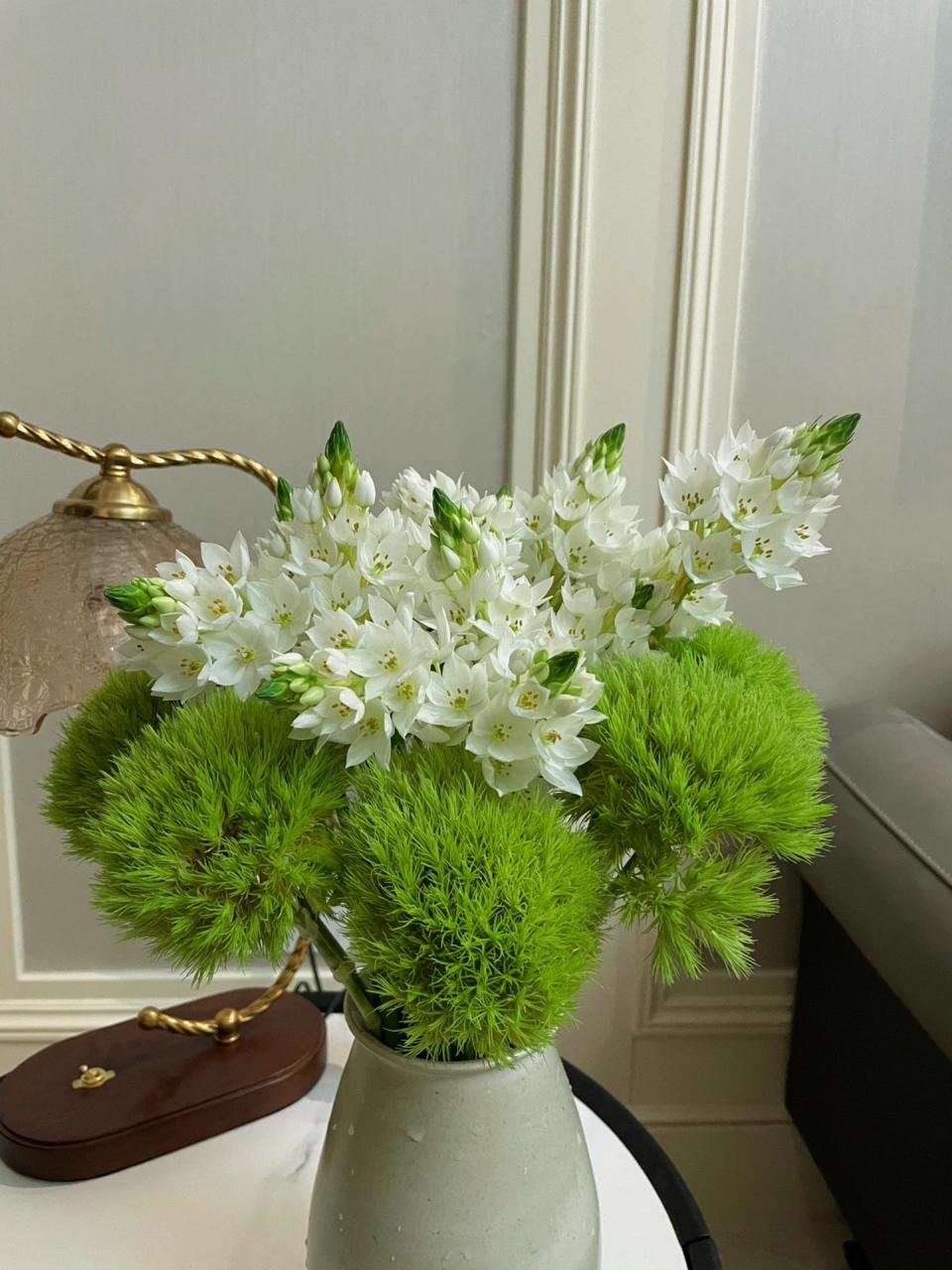 清新的适合夏天 一切都在像好的方向发展 你们都养了什么花卉呢 #雀梅