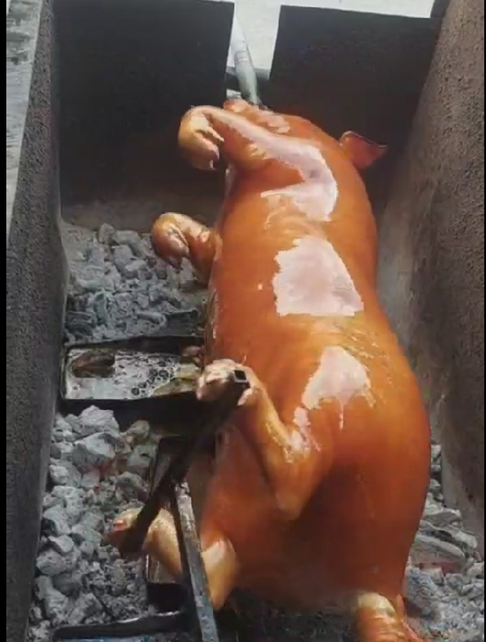 猪:好看吗?拿命换的 #中国版chatgpt来了# #趣图搞笑