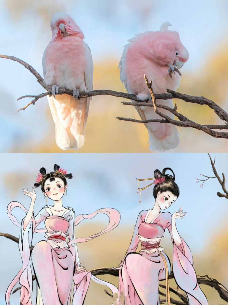 插画分享 小鸟拟人