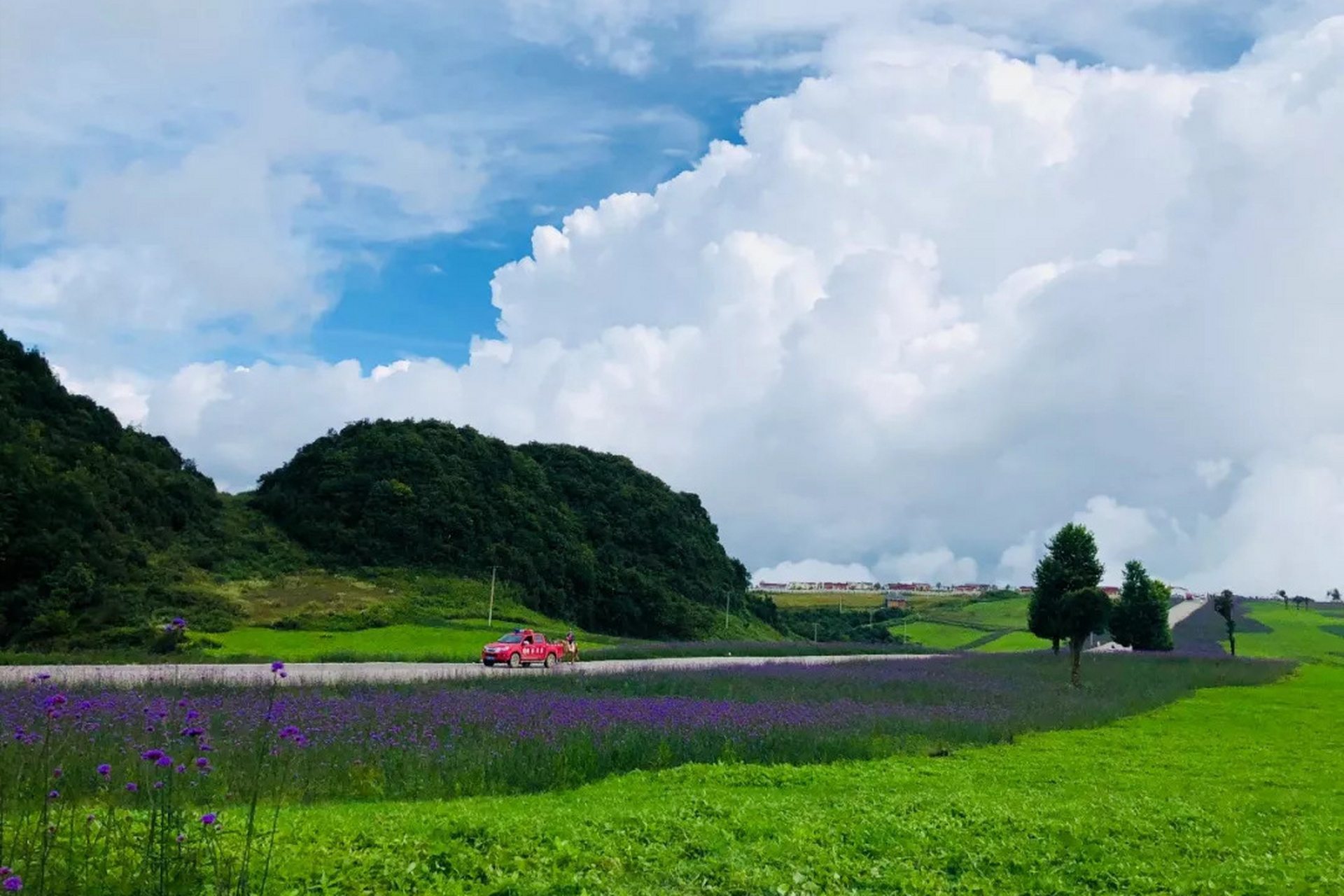 贵州六盘水野鸡坪,天然美景触手可及!