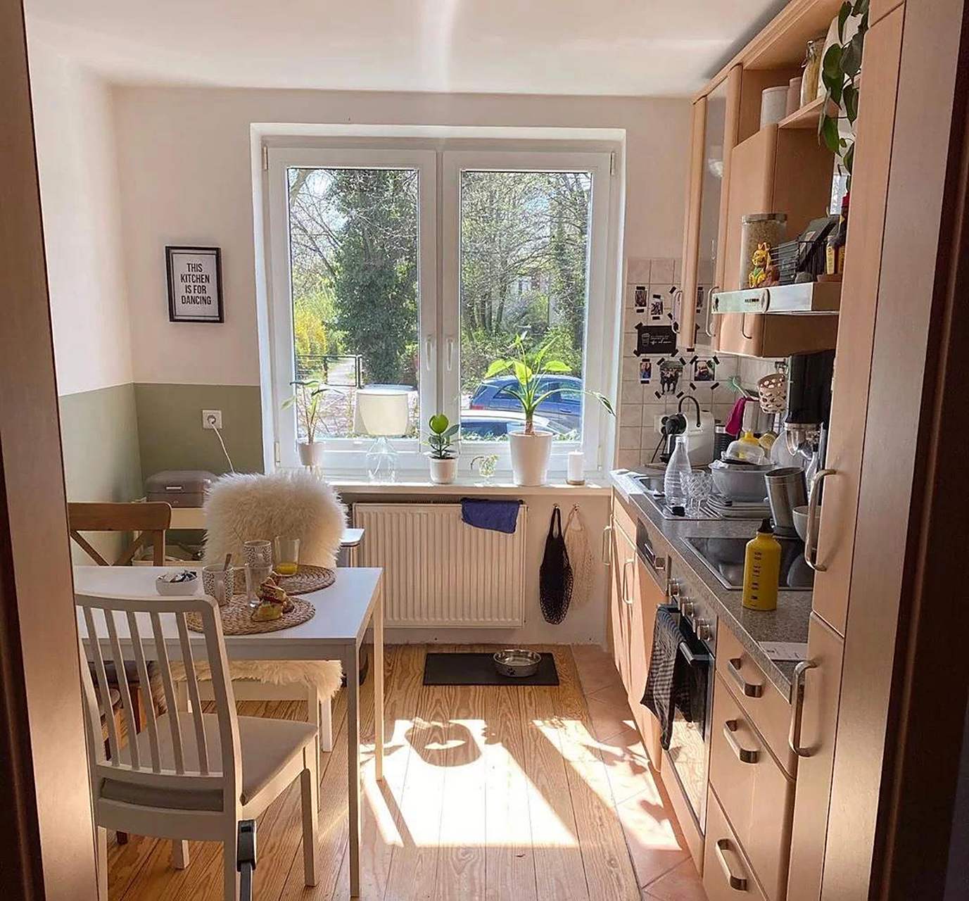 德国温馨小公寓,一个人,一条狗,一年四季,日子过得舒适又惬意.