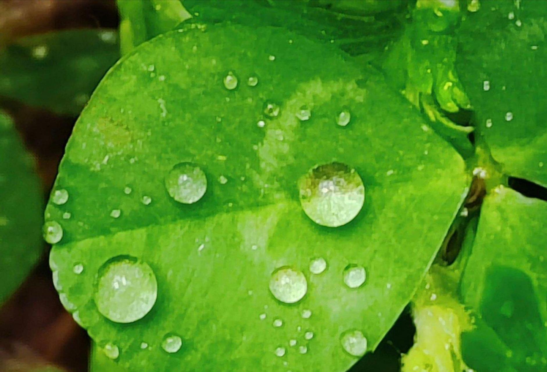 聊大乐晚#【#最美的太阳-张杰# 】 【你的笑你