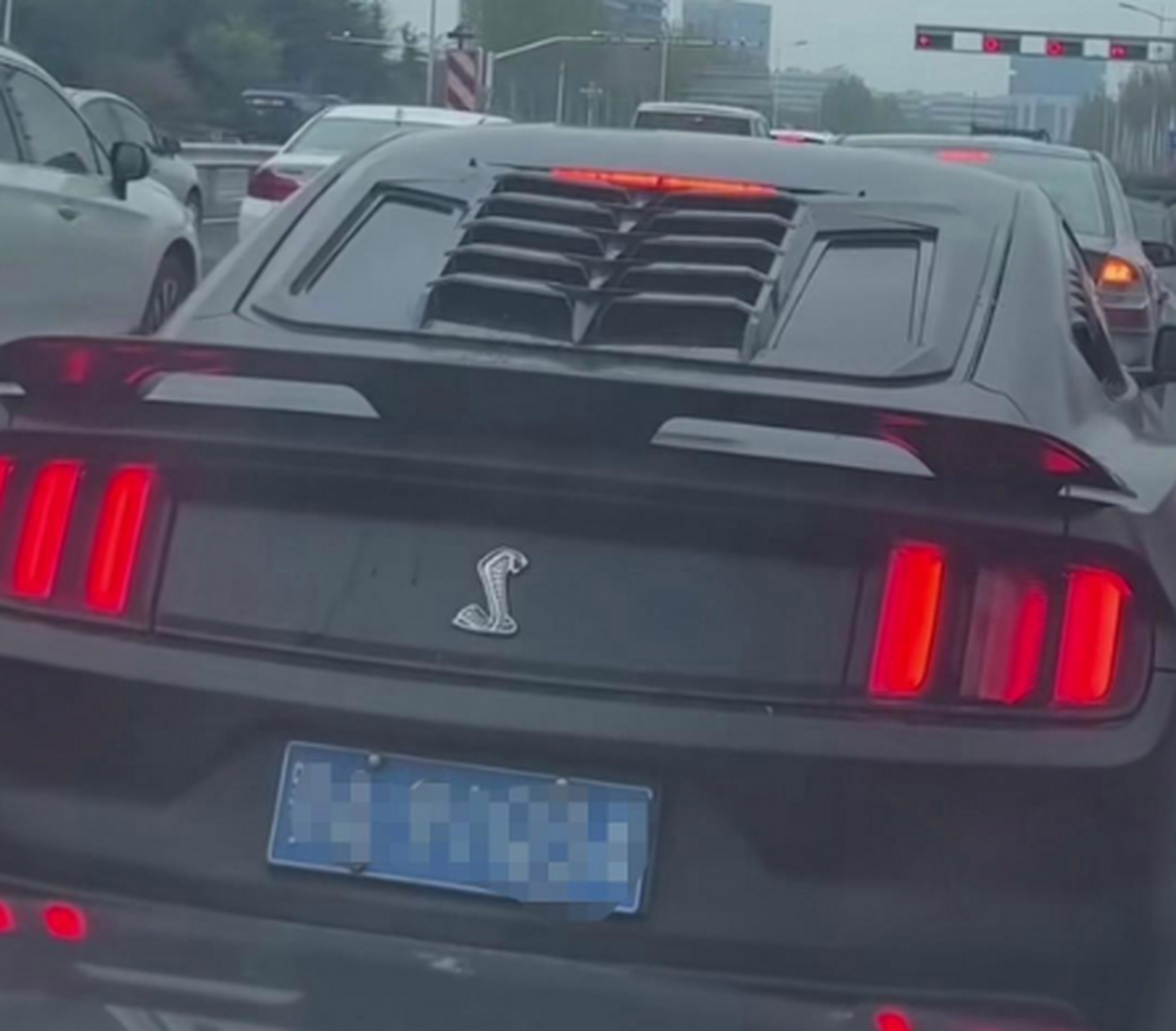 眼镜蛇车标?现在的杂牌车外观还是挺唬人的