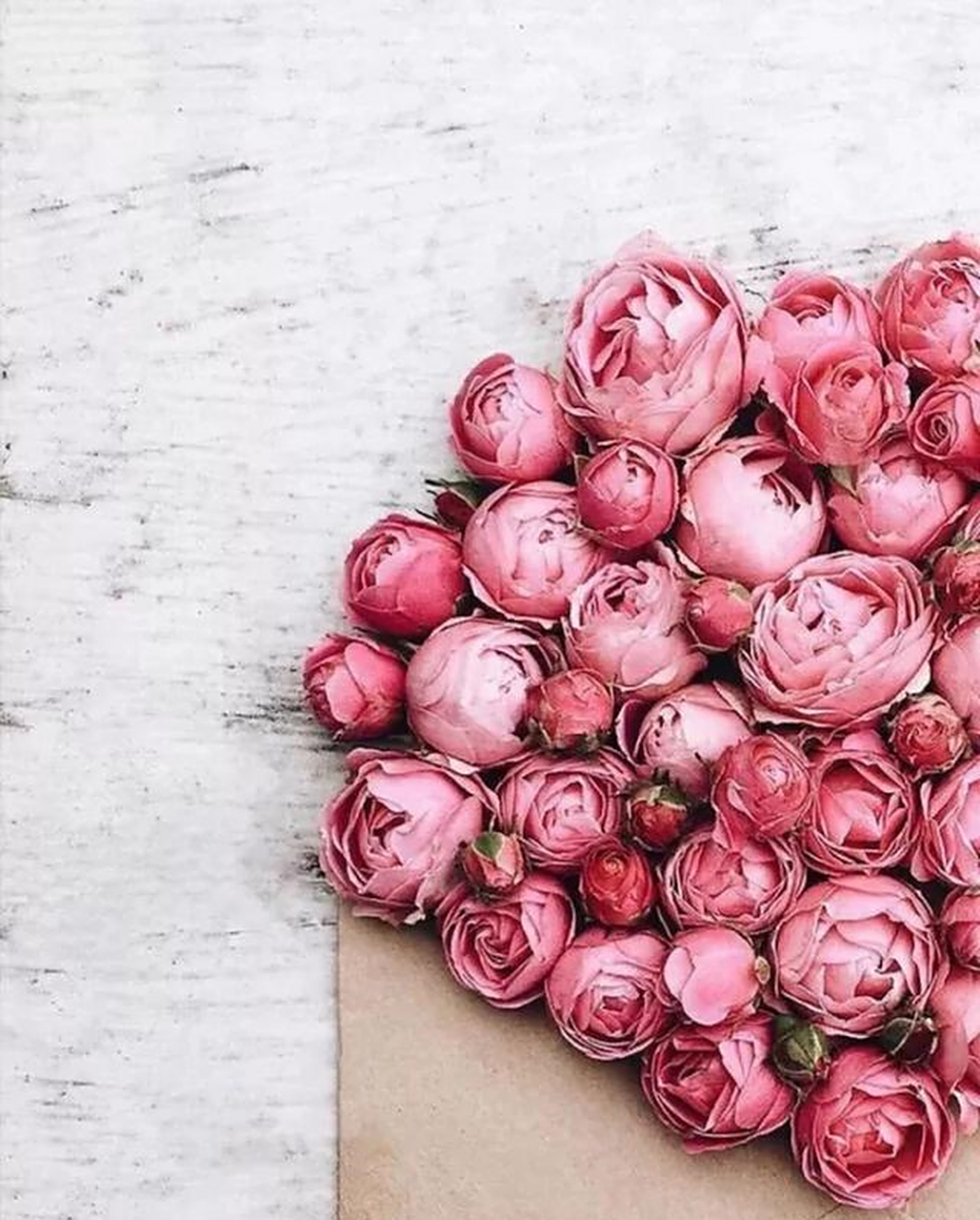 美丽的女人似带刺的玫瑰