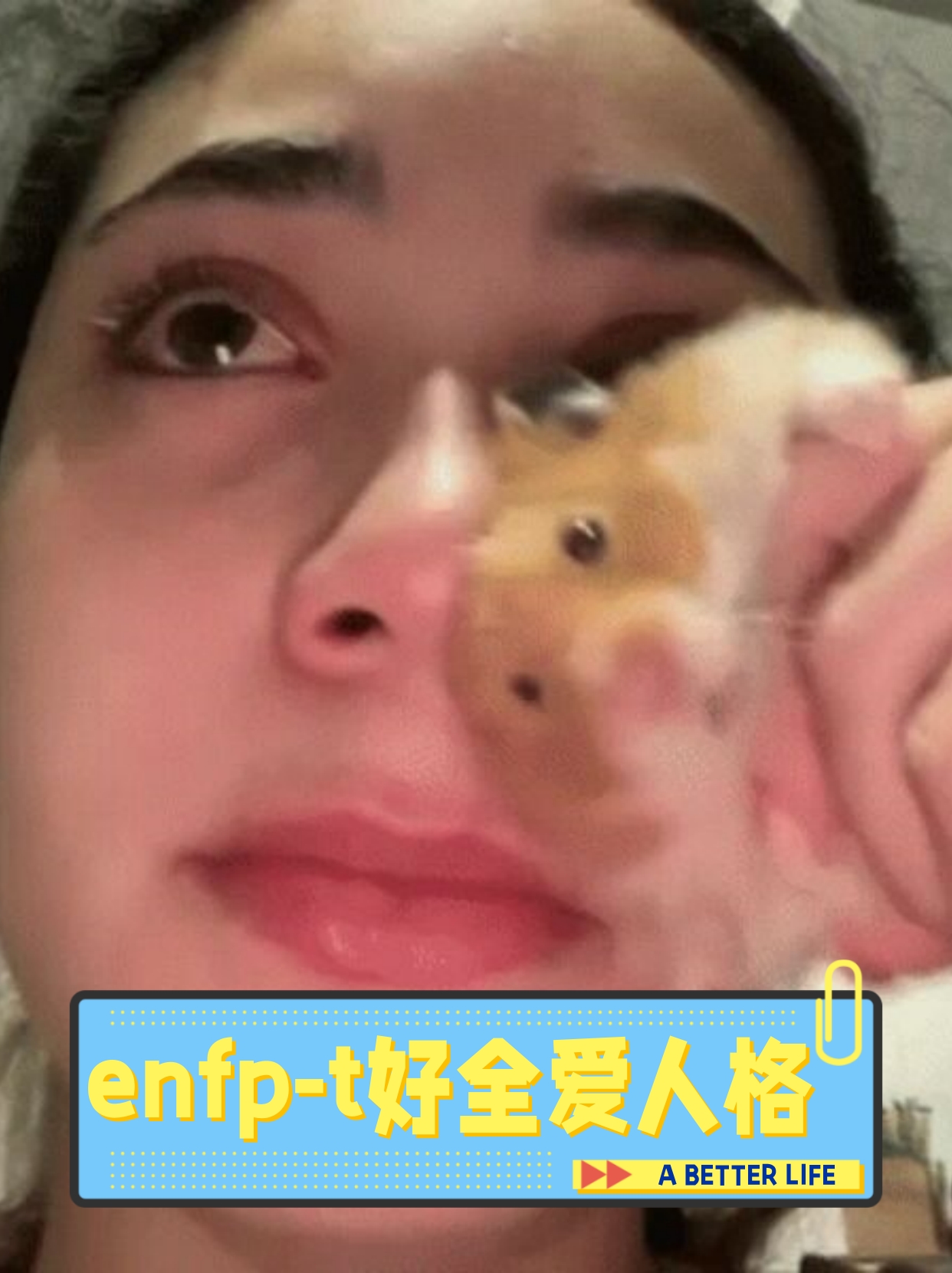 全爱型人格是一种常见的九维人格模型具有以下