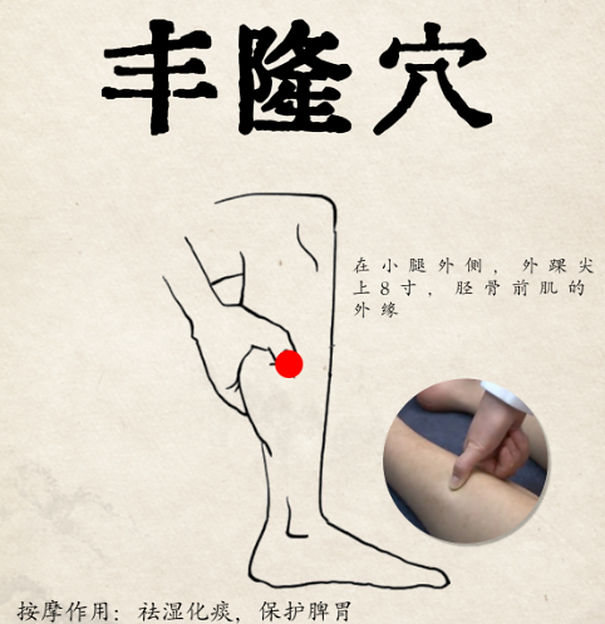 穴名解说:丰隆穴,出处《灵枢·经脉》,是足阳明胃经的络穴.